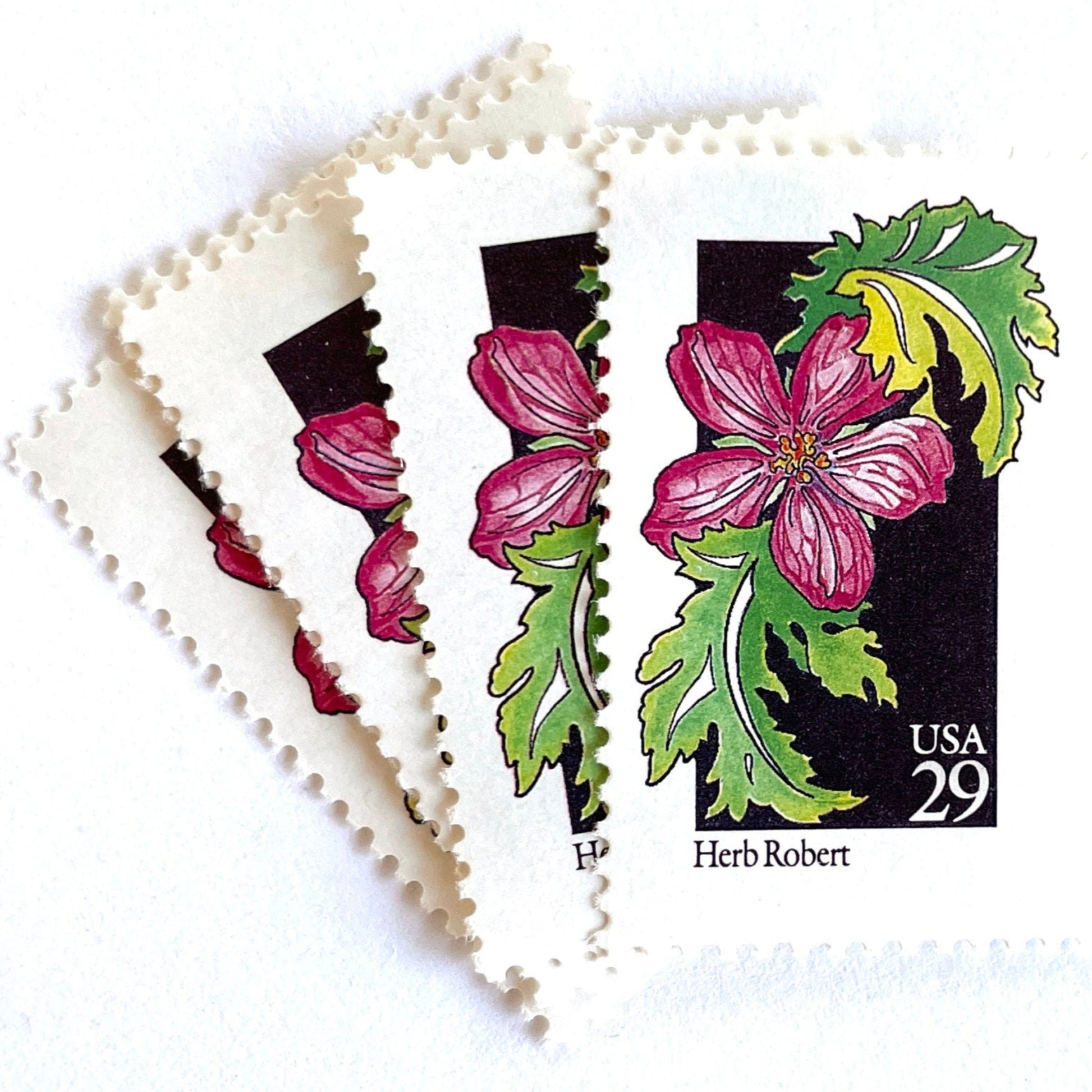 Image of 29-cent USPS postage stamps featuring a pink Herb Robert flower from the 1992 American Wildflower Series (Scott #2657)