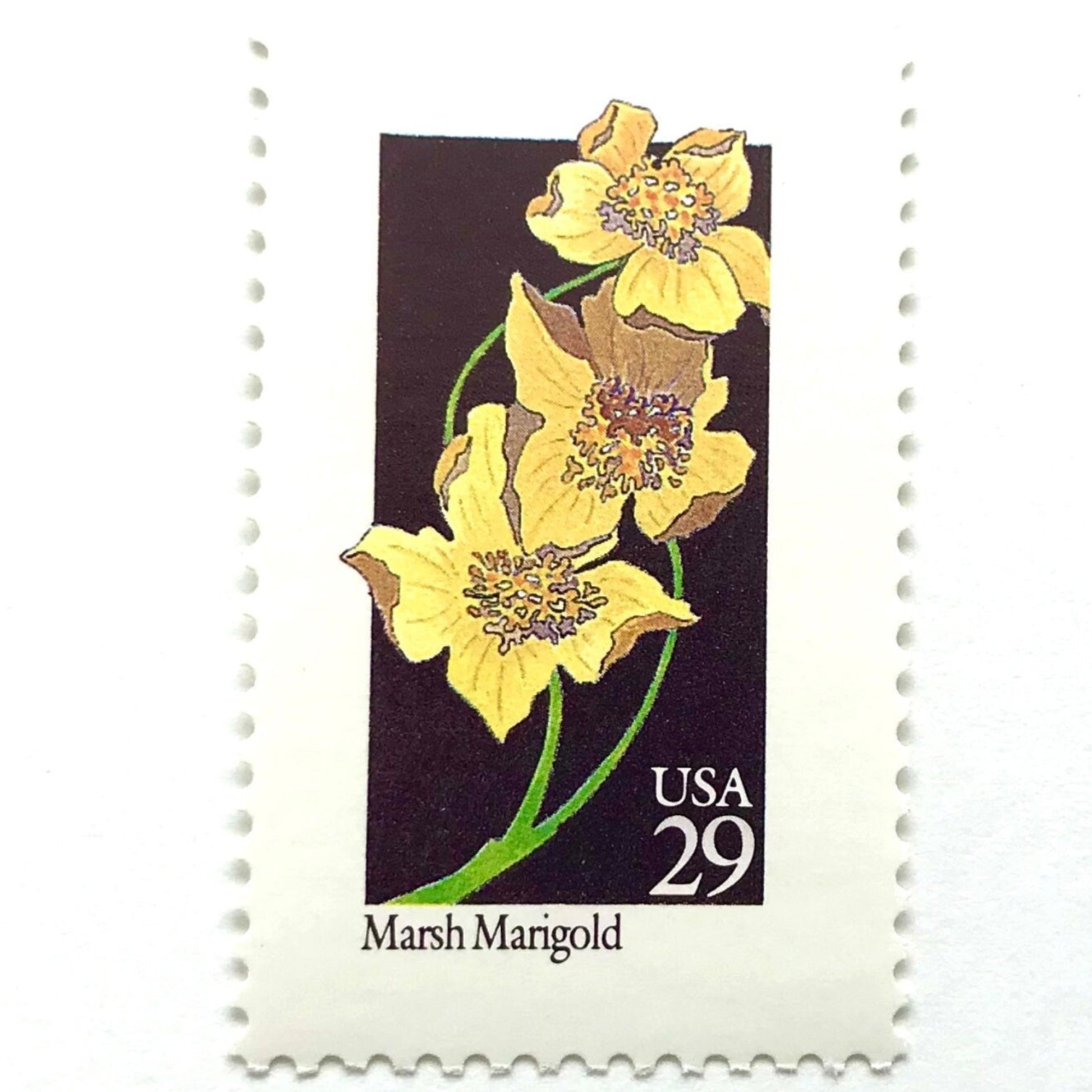 Image of 29-cent USPS postage stamp featuring a yellow Marsh Marigold flower from the 1992 American Wildflower Series (Scott #2658)