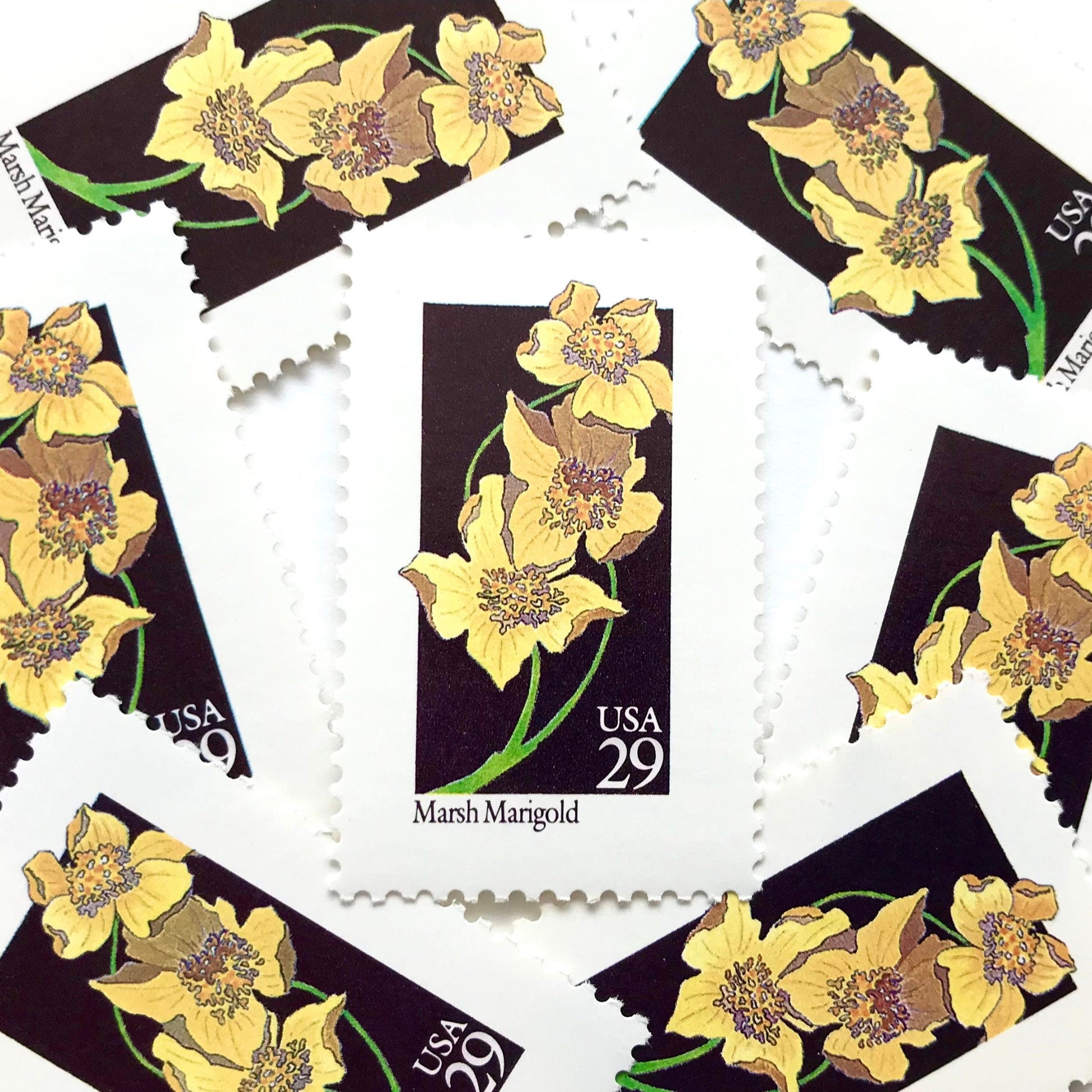 Image of 29-cent USPS postage stamps featuring a yellow Marsh Marigold flower from the 1992 American Wildflower Series (Scott #2658)