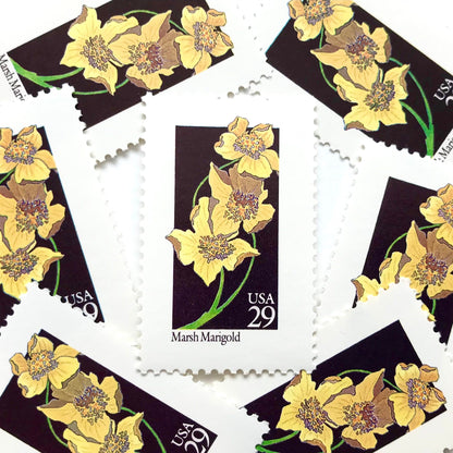 Image of 29-cent USPS postage stamps featuring a yellow Marsh Marigold flower from the 1992 American Wildflower Series (Scott #2658)