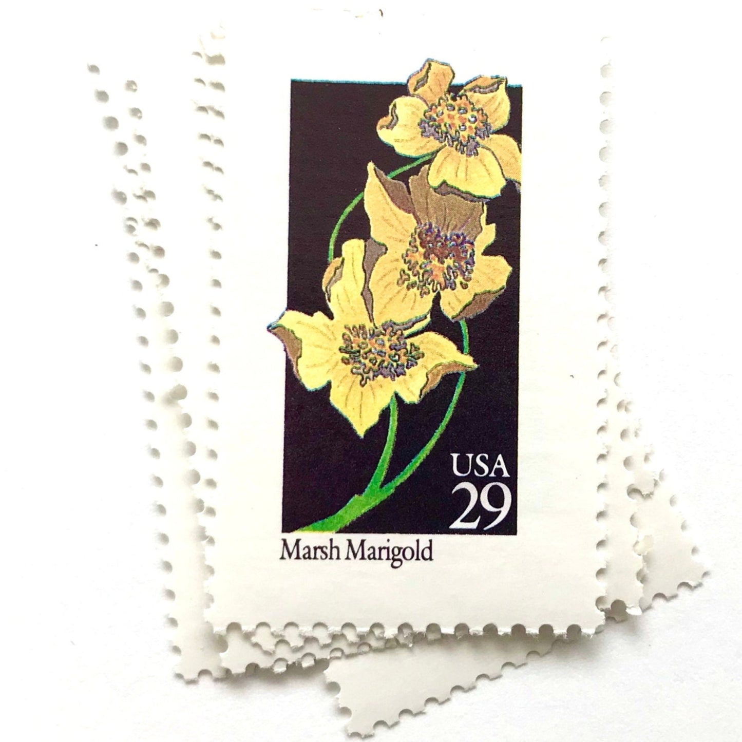 Image of 29-cent USPS postage stamps featuring a yellow Marsh Marigold flower from the 1992 American Wildflower Series (Scott #2658)