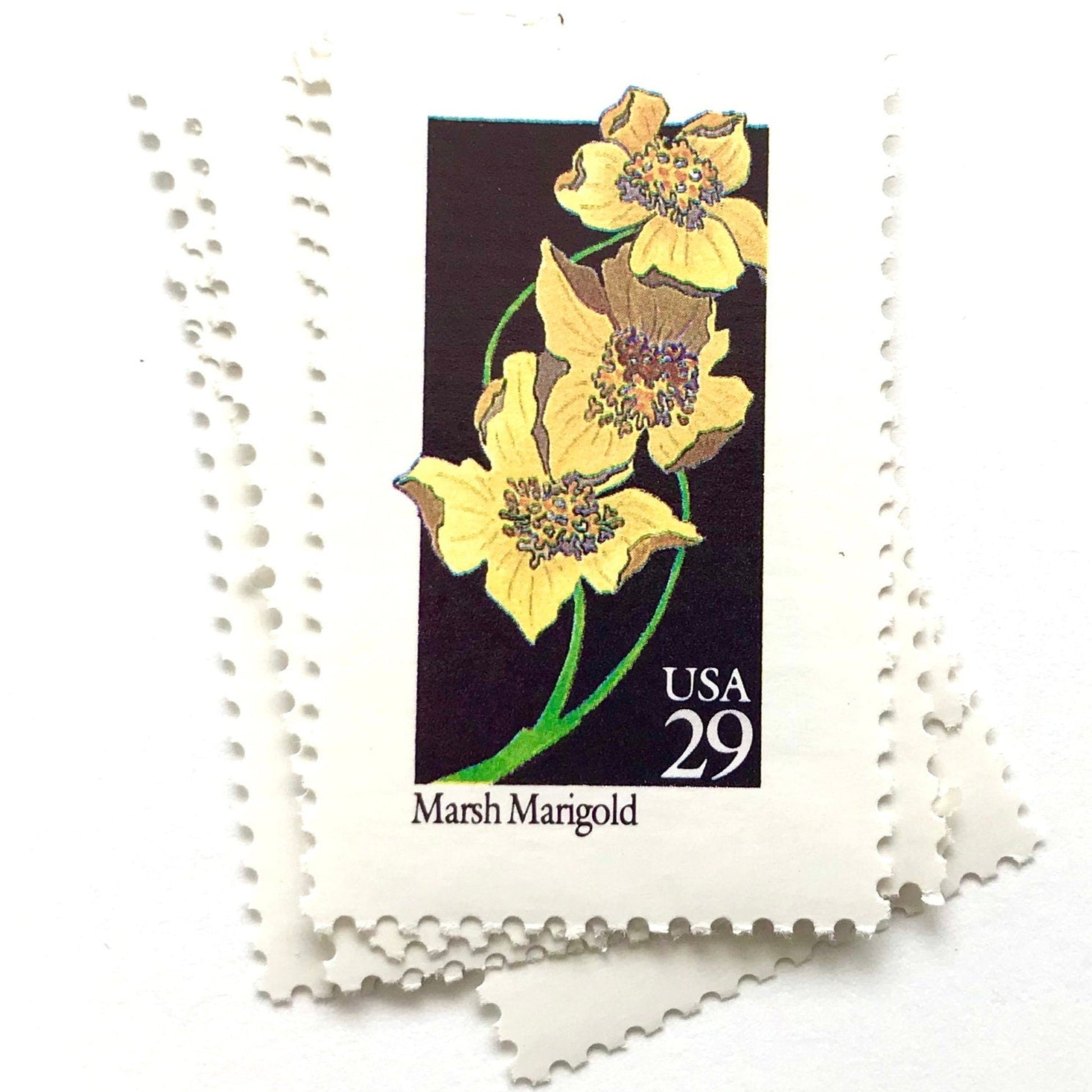 Image of 29-cent USPS postage stamps featuring a yellow Marsh Marigold flower from the 1992 American Wildflower Series (Scott #2658)