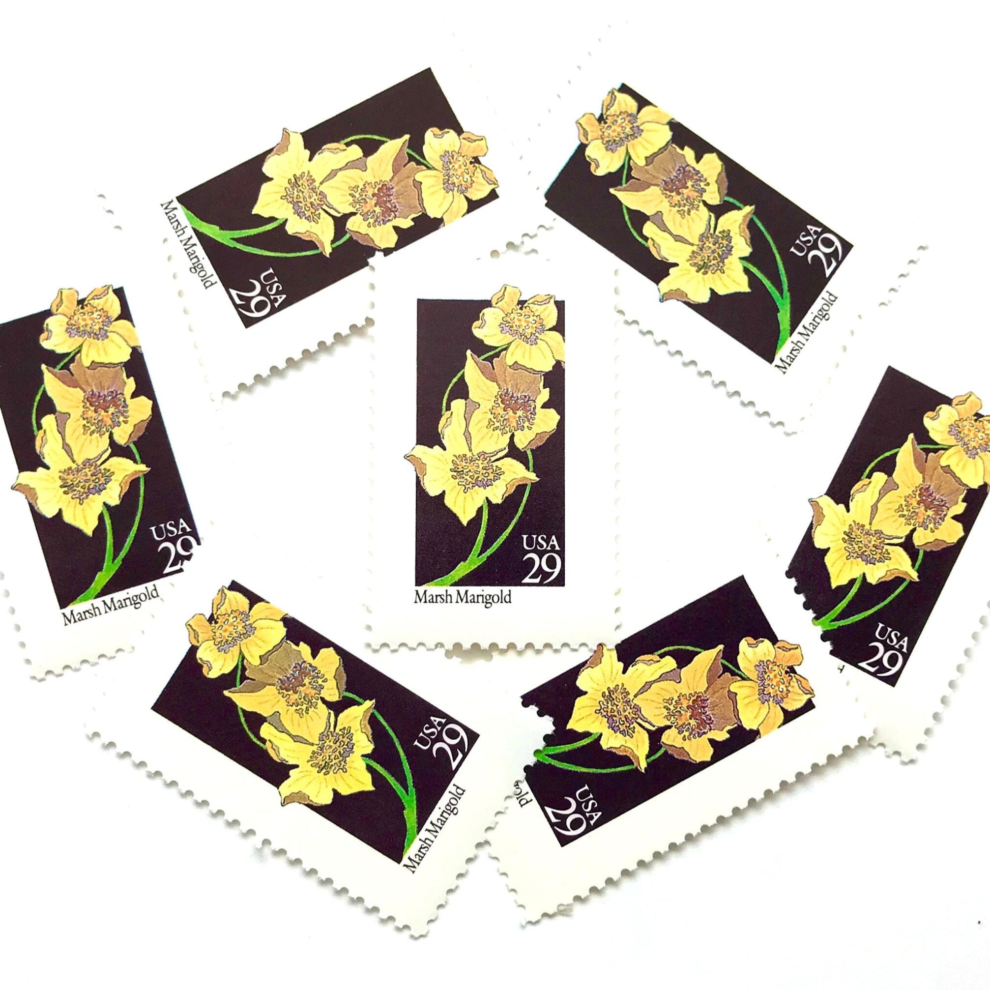 Image of 29-cent USPS postage stamps featuring a yellow Marsh Marigold flower from the 1992 American Wildflower Series (Scott #2658)