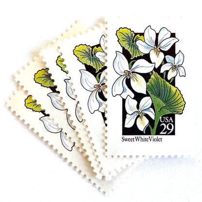 Image of 1992 American Wildflower Series “Sweet White Violet” vintage USPS mail stamps. Scott #2659. Stamp Themes: Plants, Flowers, Wildflowers, Flora. White, Green, Black, Multicolored gummed postage stamp. Perfect postage stamp to use for save the date announcements, wedding invitation postage, bridal shower invitations, birth announcements, valentine’s day, thank you cards, and snail mail.