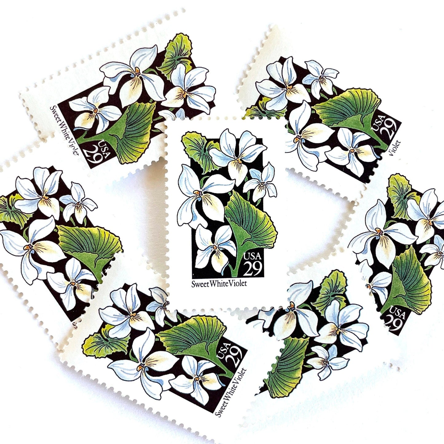 Image of 1992 American Wildflower Series “Sweet White Violet” vintage USPS mail stamps. Scott #2659. Stamp Themes: Plants, Flowers, Wildflowers, Flora. White, Green, Black, Multicolored gummed postage stamp. Perfect postage stamp to use for save the date announcements, wedding invitation postage, bridal shower invitations, birth announcements, valentine’s day, thank you cards, and snail mail.