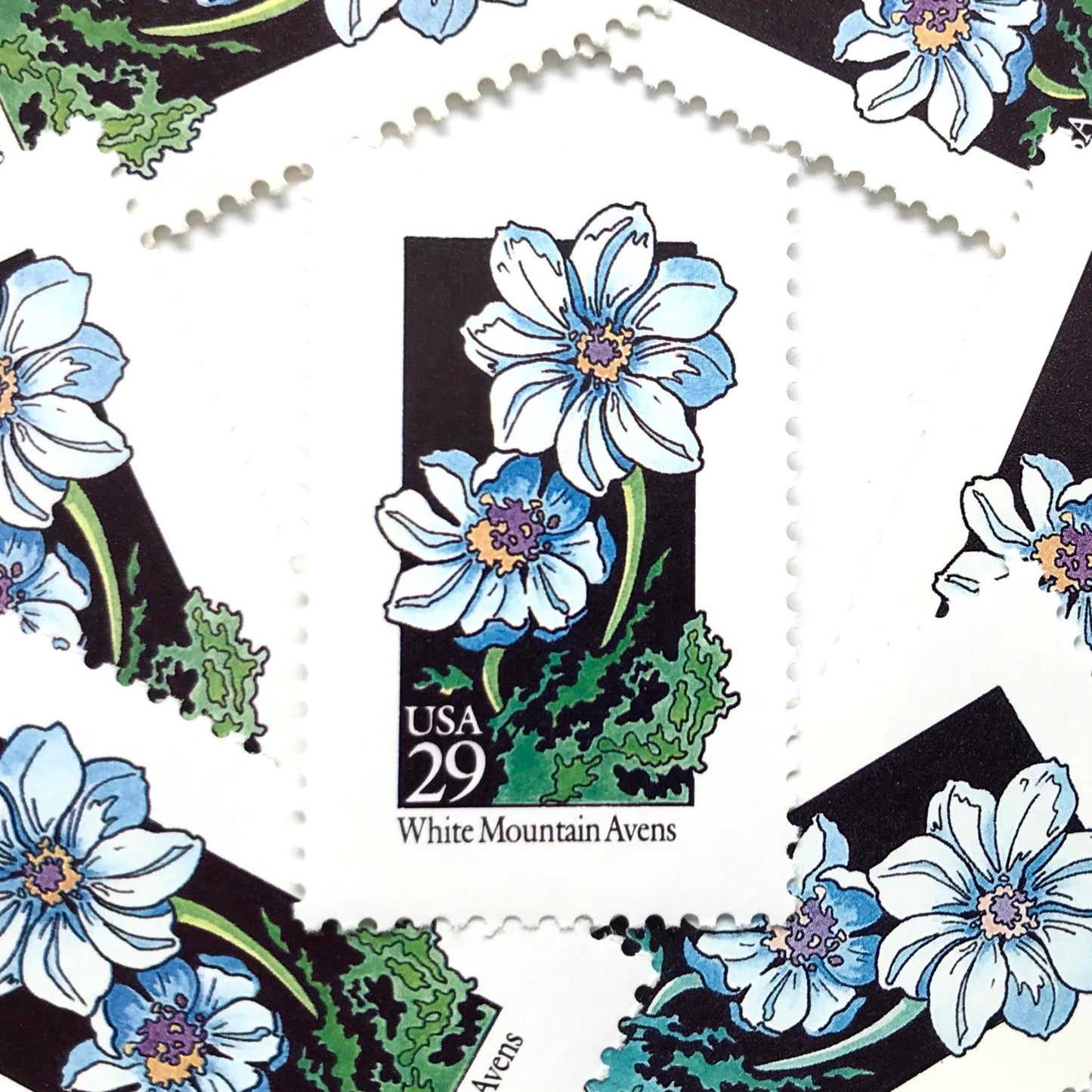 Image of 1992 American Wildflower Series “White Mountain Avens” vintage USPS mail stamps. Scott #2661. Stamp Themes: Plants, Flowers, Wildflowers, Flora. White, Blue, Green, Multicolored gummed postage stamp. Perfect postage stamp to use for save the date announcements, wedding invitation postage, bridal shower invitations, birth announcements, valentine’s day, thank you cards, and snail mail.