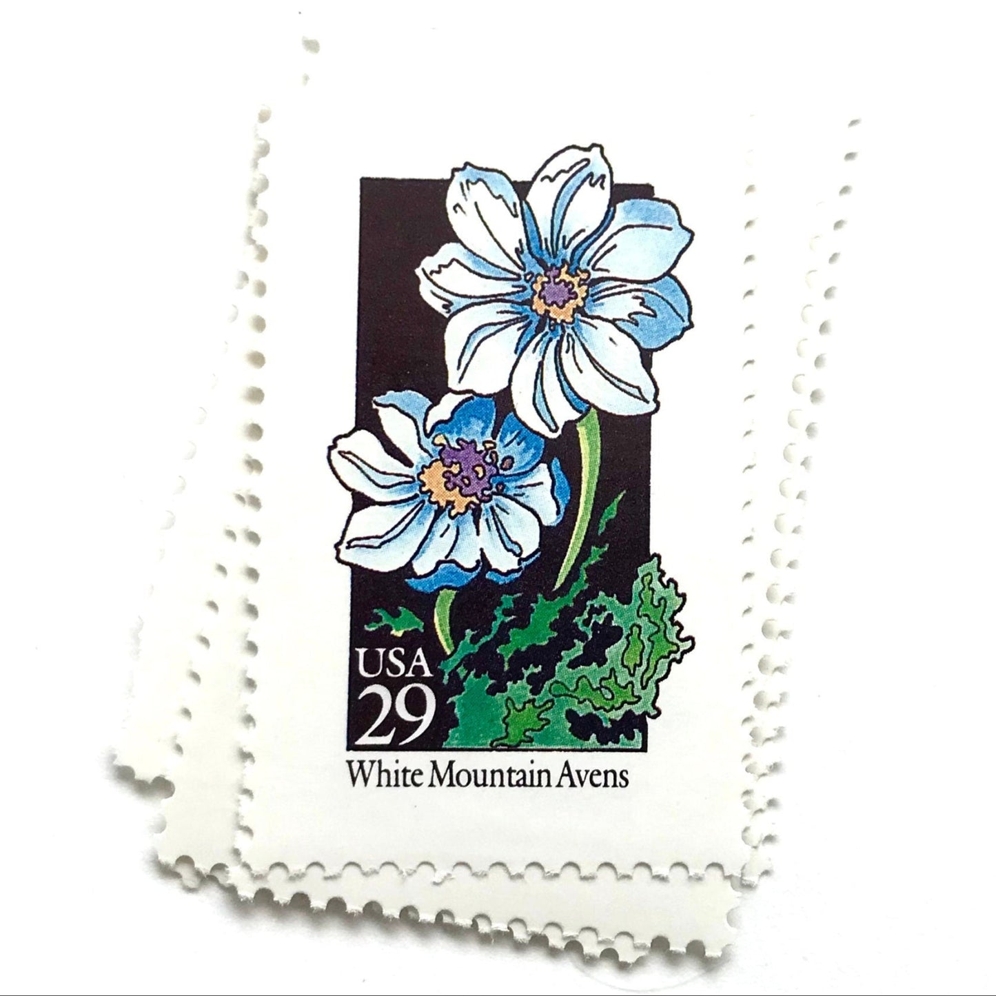 Image of 1992 American Wildflower Series “White Mountain Avens” vintage USPS mail stamps. Scott #2661. Stamp Themes: Plants, Flowers, Wildflowers, Flora. White, Blue, Green, Multicolored gummed postage stamp. Perfect postage stamp to use for save the date announcements, wedding invitation postage, bridal shower invitations, birth announcements, valentine’s day, thank you cards, and snail mail.