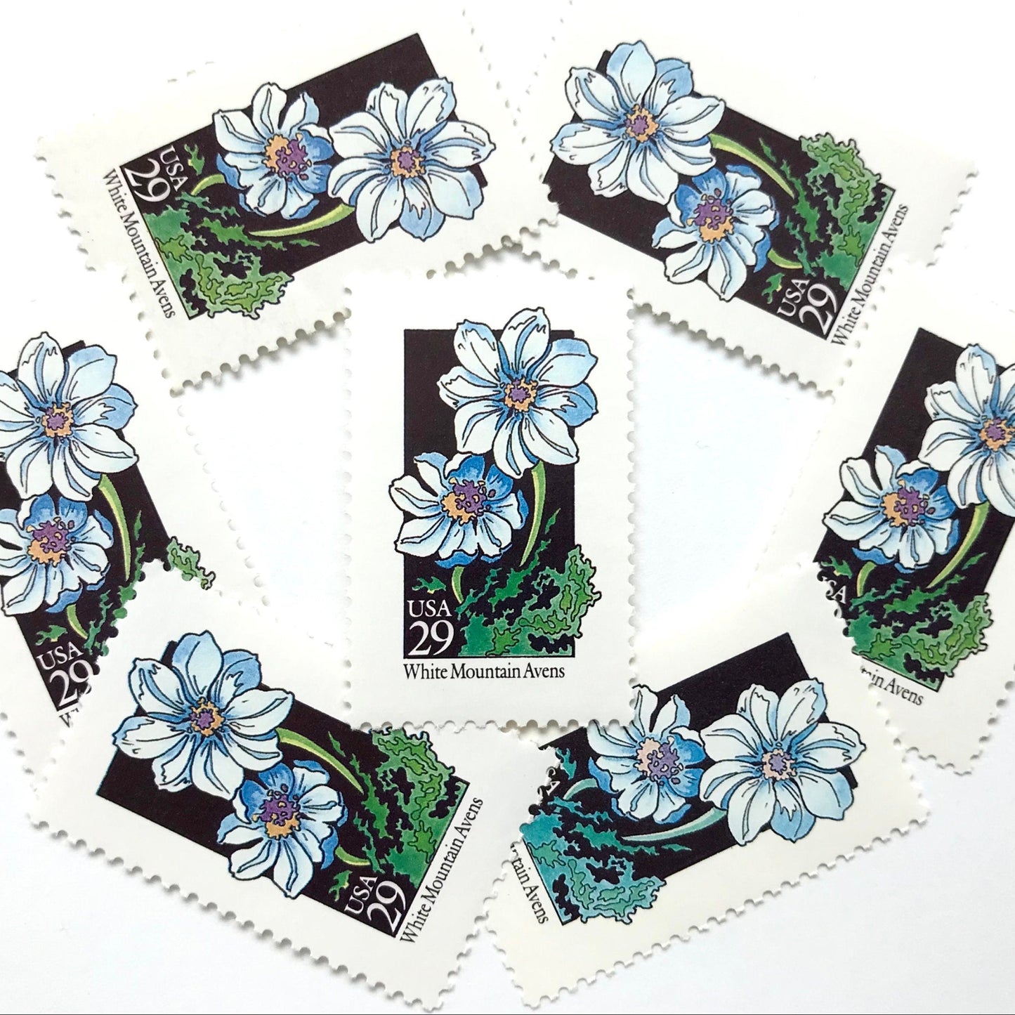 Image of 1992 American Wildflower Series “White Mountain Avens” vintage USPS mail stamps. Scott #2661. Stamp Themes: Plants, Flowers, Wildflowers, Flora. White, Blue, Green, Multicolored gummed postage stamp. Perfect postage stamp to use for save the date announcements, wedding invitation postage, bridal shower invitations, birth announcements, valentine’s day, thank you cards, and snail mail.