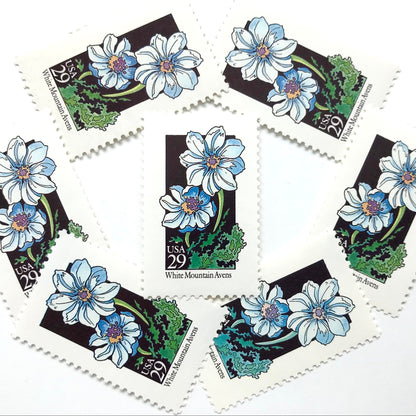 Image of 1992 American Wildflower Series “White Mountain Avens” vintage USPS mail stamps. Scott #2661. Stamp Themes: Plants, Flowers, Wildflowers, Flora. White, Blue, Green, Multicolored gummed postage stamp. Perfect postage stamp to use for save the date announcements, wedding invitation postage, bridal shower invitations, birth announcements, valentine’s day, thank you cards, and snail mail.
