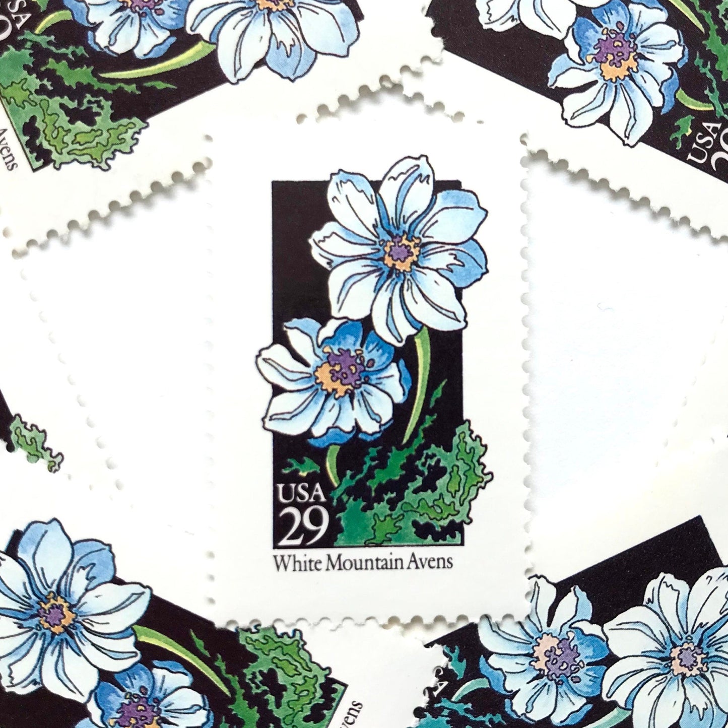 Image of 1992 American Wildflower Series “White Mountain Avens” vintage USPS mail stamps. Scott #2661. Stamp Themes: Plants, Flowers, Wildflowers, Flora. White, Blue, Green, Multicolored gummed postage stamp. Perfect postage stamp to use for save the date announcements, wedding invitation postage, bridal shower invitations, birth announcements, valentine’s day, thank you cards, and snail mail.