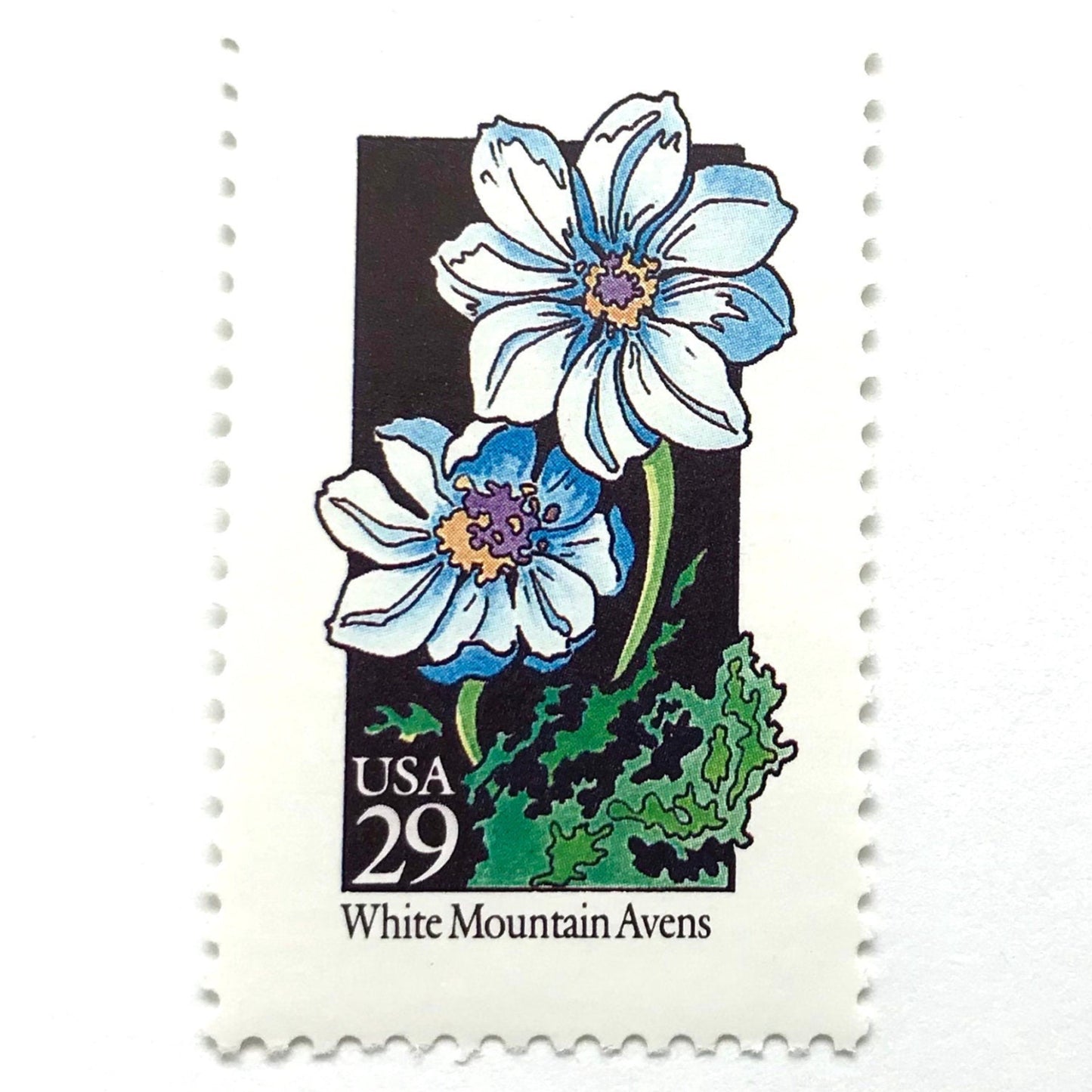 Image of 1992 American Wildflower Series “White Mountain Avens” vintage USPS mail stamps. Scott #2661. Stamp Themes: Plants, Flowers, Wildflowers, Flora. White, Blue, Green, Multicolored gummed postage stamp. Perfect postage stamp to use for save the date announcements, wedding invitation postage, bridal shower invitations, birth announcements, valentine’s day, thank you cards, and snail mail.