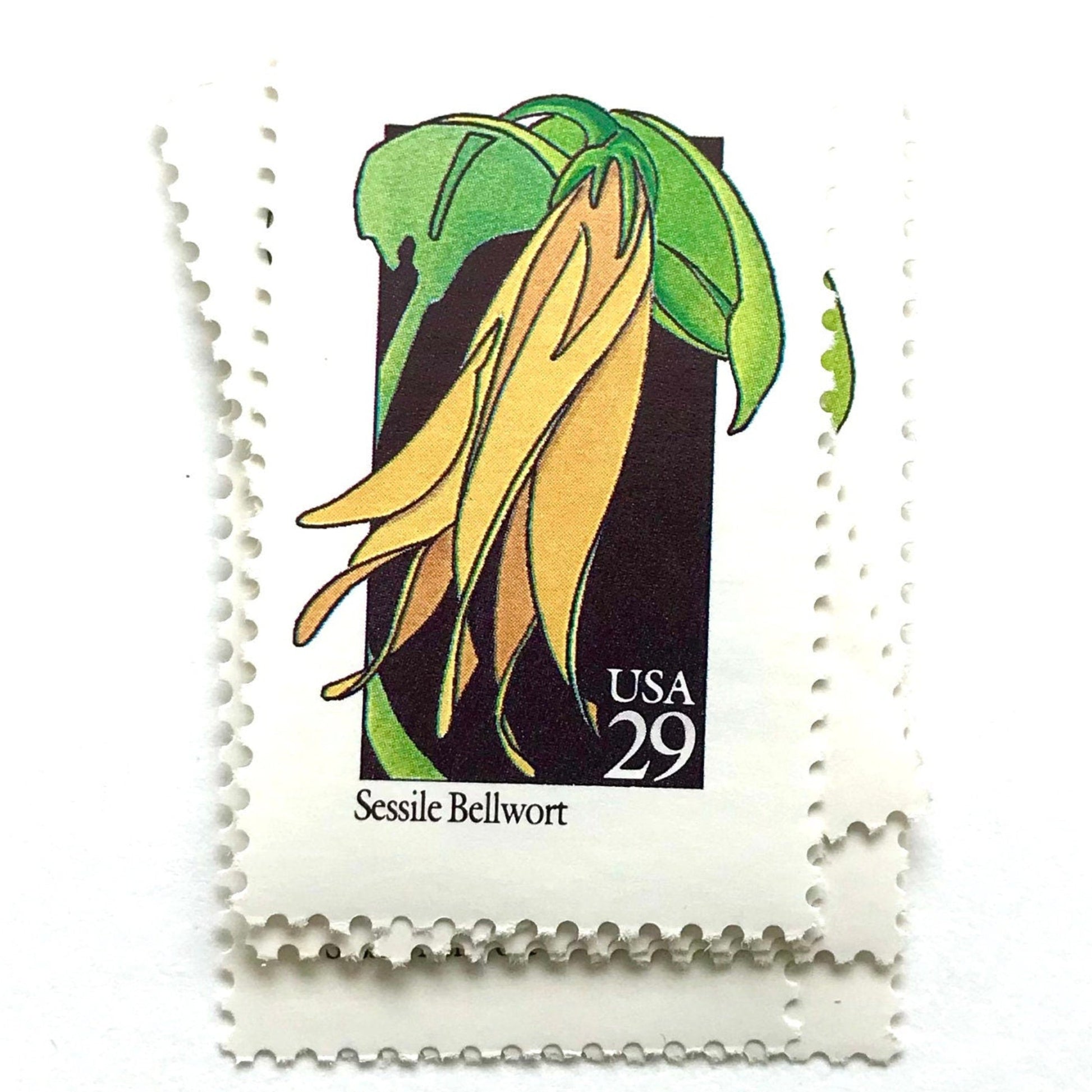 Image of 1992 American Wildflower Series “Sessile Bellwort ” vintage USPS mail stamps. Scott #2662. Stamp Themes: Plants, Flowers, Wildflowers, Flora. Yellow, Green, Black, Multicolored gummed postage stamp. Perfect postage stamp to use for save the date announcements, wedding invitation postage, bridal shower invitations, birth announcements, valentine’s day, thank you cards, and snail mail.