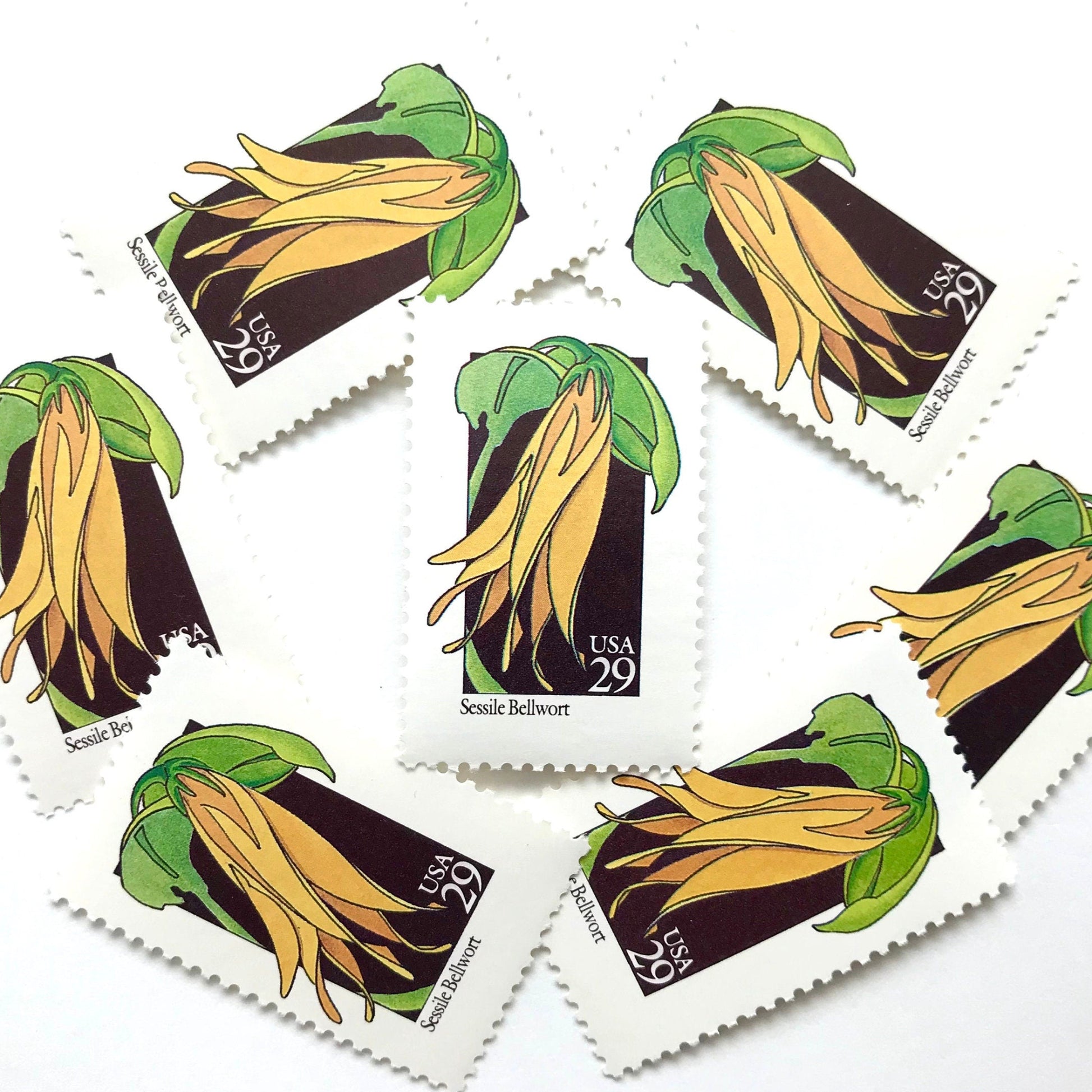 Image of 1992 American Wildflower Series “Sessile Bellwort ” vintage USPS mail stamps. Scott #2662. Stamp Themes: Plants, Flowers, Wildflowers, Flora. Yellow, Green, Black, Multicolored gummed postage stamp. Perfect postage stamp to use for save the date announcements, wedding invitation postage, bridal shower invitations, birth announcements, valentine’s day, thank you cards, and snail mail.