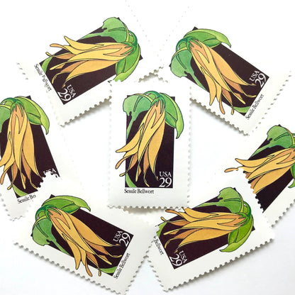 Image of 1992 American Wildflower Series “Sessile Bellwort ” vintage USPS mail stamps. Scott #2662. Stamp Themes: Plants, Flowers, Wildflowers, Flora. Yellow, Green, Black, Multicolored gummed postage stamp. Perfect postage stamp to use for save the date announcements, wedding invitation postage, bridal shower invitations, birth announcements, valentine’s day, thank you cards, and snail mail.