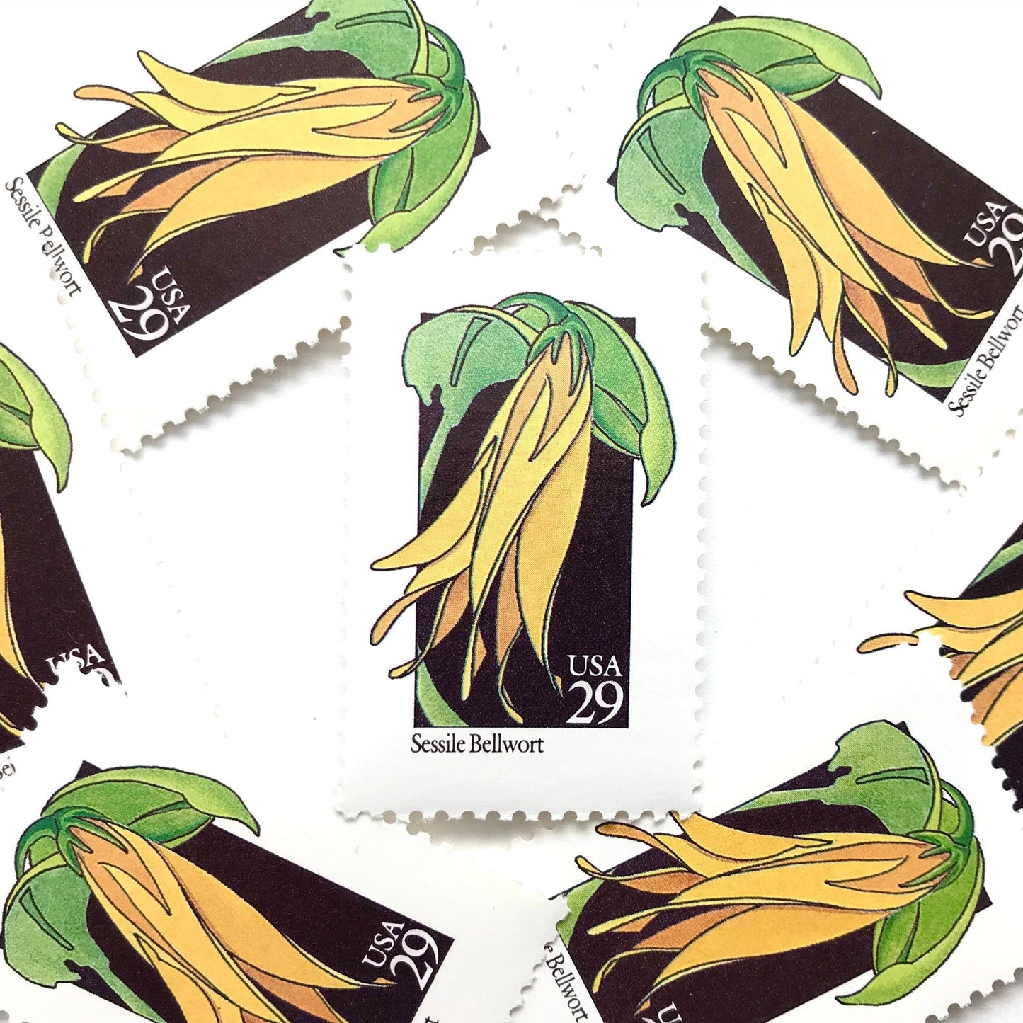 Image of 1992 American Wildflower Series “Sessile Bellwort ” vintage USPS mail stamps. Scott #2662. Stamp Themes: Plants, Flowers, Wildflowers, Flora. Yellow, Green, Black, Multicolored gummed postage stamp. Perfect postage stamp to use for save the date announcements, wedding invitation postage, bridal shower invitations, birth announcements, valentine’s day, thank you cards, and snail mail.