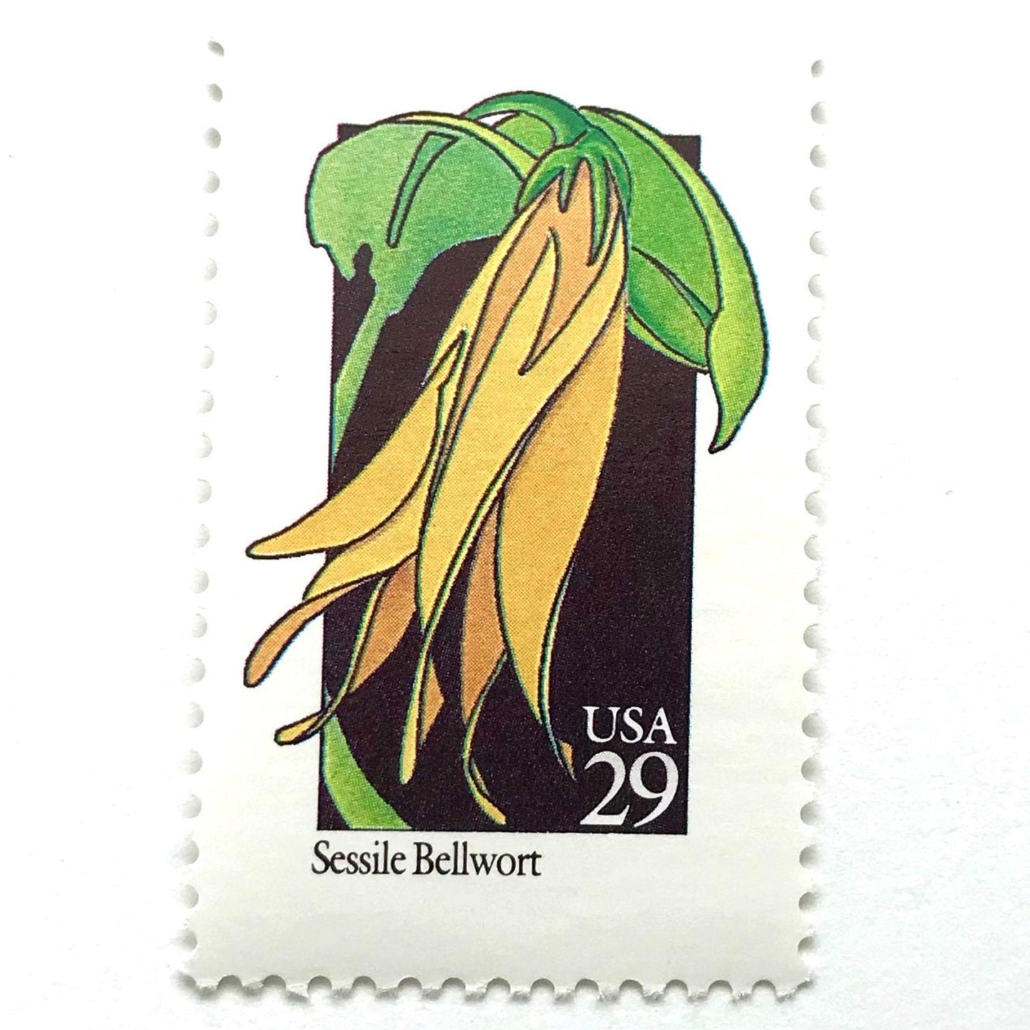 Image of 1992 American Wildflower Series “Sessile Bellwort ” vintage USPS mail stamps. Scott #2662. Stamp Themes: Plants, Flowers, Wildflowers, Flora. Yellow, Green, Black, Multicolored gummed postage stamp. Perfect postage stamp to use for save the date announcements, wedding invitation postage, bridal shower invitations, birth announcements, valentine’s day, thank you cards, and snail mail.