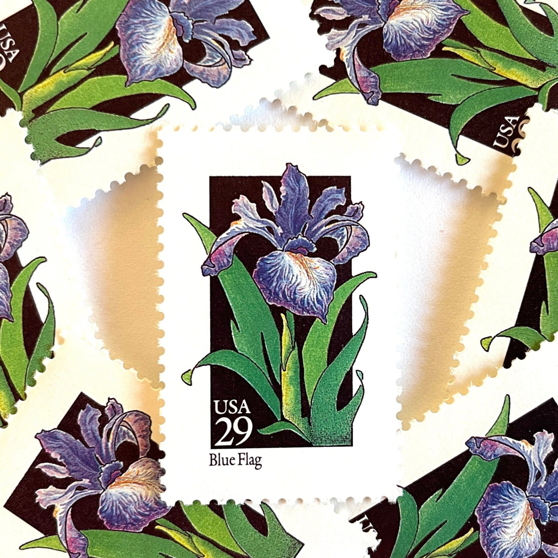 Image of 1992 American Wildflower Series “Blue Flag” vintage USPS mail stamps. Scott #2663. Stamp Themes: Plants, Flowers, Wildflowers, Flora. Purple, Green, Black, Multicolored gummed postage stamp. Perfect postage stamp to use for save the date announcements, wedding invitation postage, bridal shower invitations, birth announcements, valentine’s day, thank you cards, and snail mail.