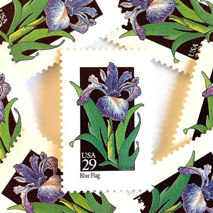 Image of 1992 American Wildflower Series “Blue Flag” vintage USPS mail stamps. Scott #2663. Stamp Themes: Plants, Flowers, Wildflowers, Flora. Purple, Green, Black, Multicolored gummed postage stamp. Perfect postage stamp to use for save the date announcements, wedding invitation postage, bridal shower invitations, birth announcements, valentine’s day, thank you cards, and snail mail.