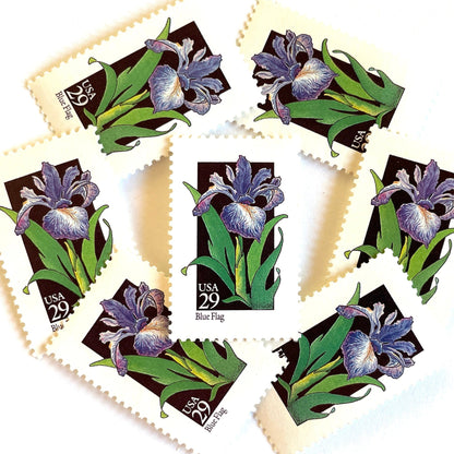Image of 1992 American Wildflower Series “Blue Flag” vintage USPS mail stamps. Scott #2663. Stamp Themes: Plants, Flowers, Wildflowers, Flora. Purple, Green, Black, Multicolored gummed postage stamp. Perfect postage stamp to use for save the date announcements, wedding invitation postage, bridal shower invitations, birth announcements, valentine’s day, thank you cards, and snail mail.