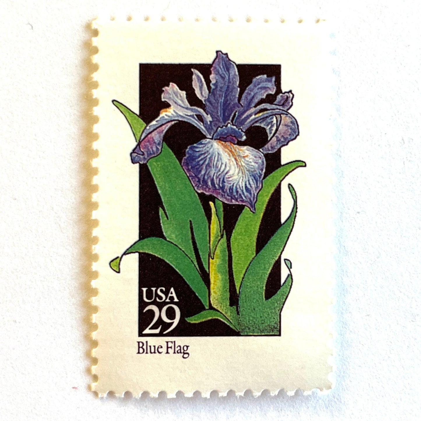 Image of 1992 American Wildflower Series “Blue Flag” vintage USPS mail stamps. Scott #2663. Stamp Themes: Plants, Flowers, Wildflowers, Flora. Purple, Green, Black, Multicolored gummed postage stamp. Perfect postage stamp to use for save the date announcements, wedding invitation postage, bridal shower invitations, birth announcements, valentine’s day, thank you cards, and snail mail.