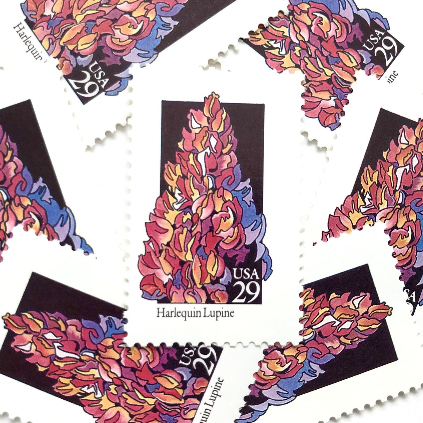 Image of 1992 American Wildflower Series “Harlequin Lupine” vintage USPS mail stamps. Scott #2664. Stamp Themes: Plants, Flowers, Wildflowers, Flora. Pink, Purple, Orange, Multicolored gummed postage stamp. Perfect postage stamp to use for save the date announcements, wedding invitation postage, bridal shower invitations, birth announcements, valentine’s day, thank you cards, and snail mail.