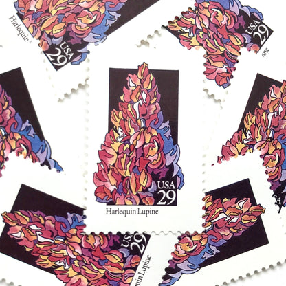Image of 1992 American Wildflower Series “Harlequin Lupine” vintage USPS mail stamps. Scott #2664. Stamp Themes: Plants, Flowers, Wildflowers, Flora. Pink, Purple, Orange, Multicolored gummed postage stamp. Perfect postage stamp to use for save the date announcements, wedding invitation postage, bridal shower invitations, birth announcements, valentine’s day, thank you cards, and snail mail.