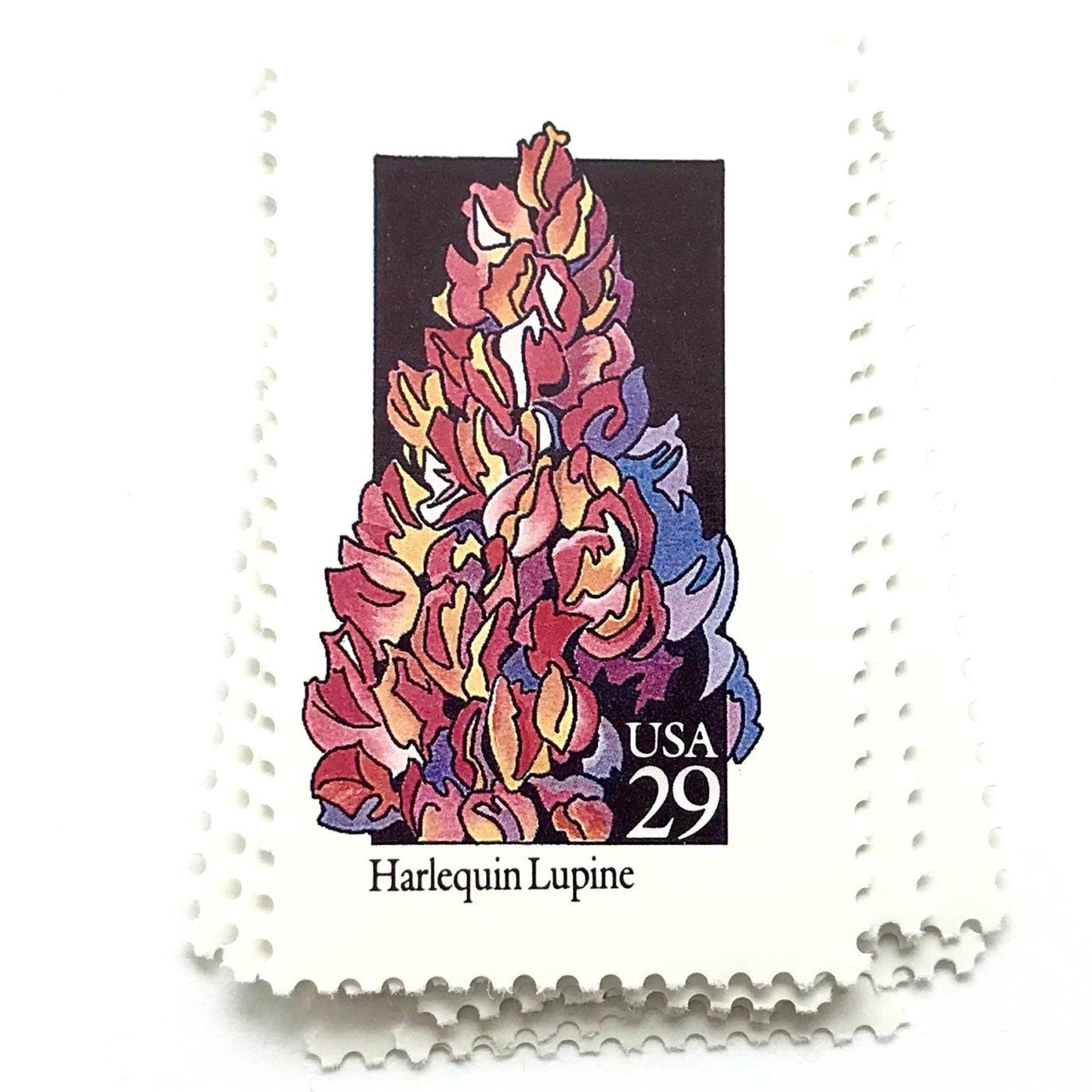 Image of 1992 American Wildflower Series “Harlequin Lupine” vintage USPS mail stamps. Scott #2664. Stamp Themes: Plants, Flowers, Wildflowers, Flora. Pink, Purple, Orange, Multicolored gummed postage stamp. Perfect postage stamp to use for save the date announcements, wedding invitation postage, bridal shower invitations, birth announcements, valentine’s day, thank you cards, and snail mail.