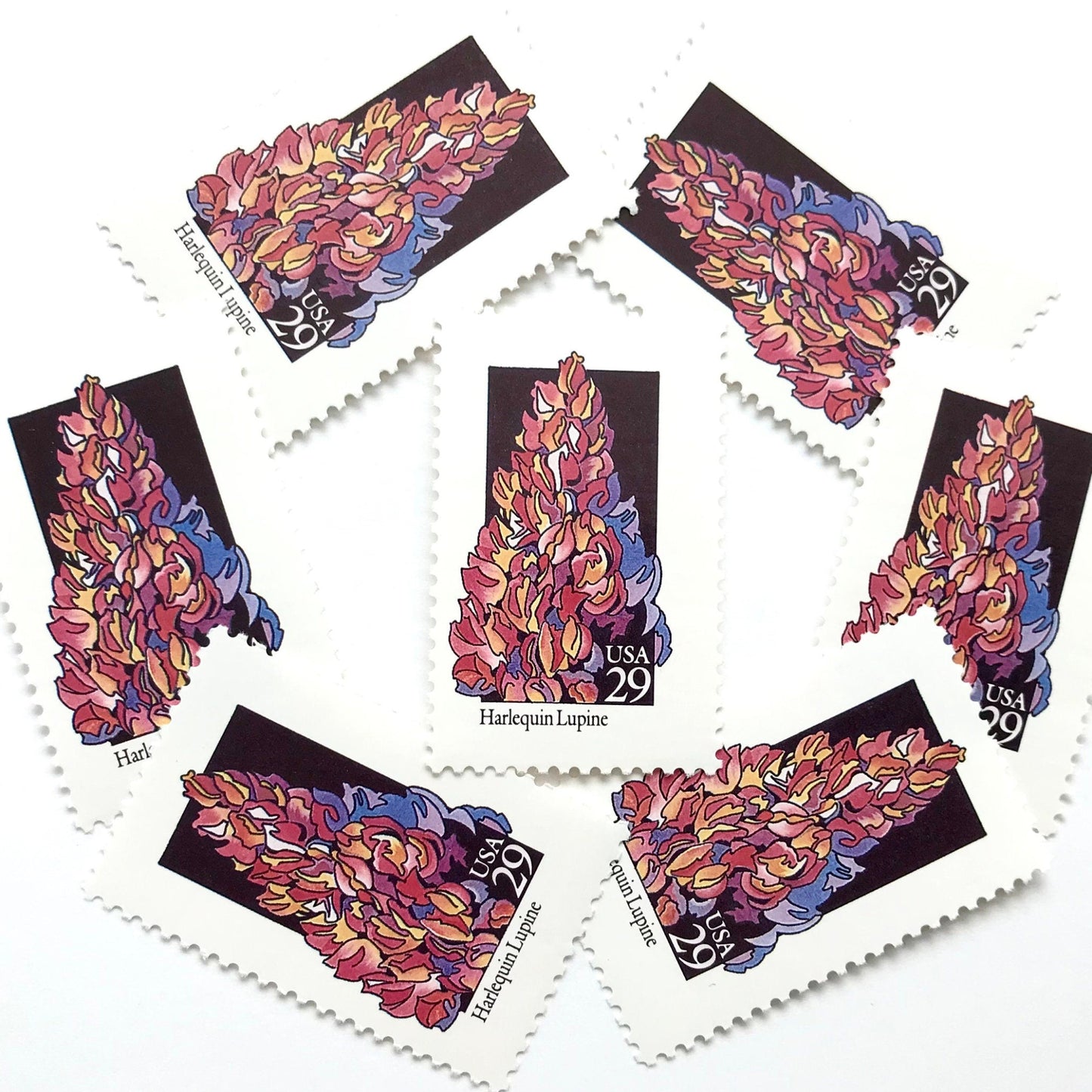 Image of 1992 American Wildflower Series “Harlequin Lupine” vintage USPS mail stamps. Scott #2664. Stamp Themes: Plants, Flowers, Wildflowers, Flora. Pink, Purple, Orange, Multicolored gummed postage stamp. Perfect postage stamp to use for save the date announcements, wedding invitation postage, bridal shower invitations, birth announcements, valentine’s day, thank you cards, and snail mail.