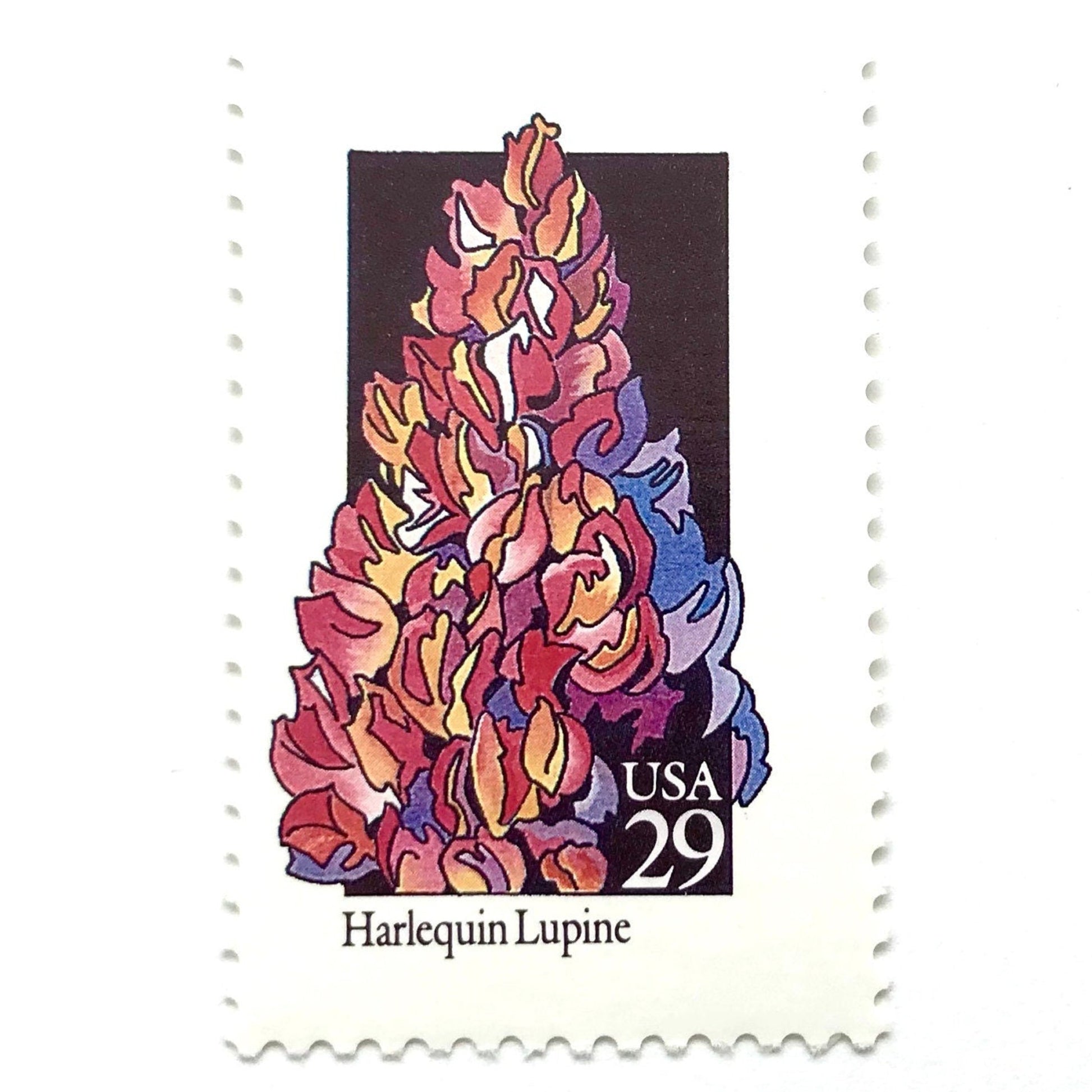 Image of 1992 American Wildflower Series “Harlequin Lupine” vintage USPS mail stamps. Scott #2664. Stamp Themes: Plants, Flowers, Wildflowers, Flora. Pink, Purple, Orange, Multicolored gummed postage stamp. Perfect postage stamp to use for save the date announcements, wedding invitation postage, bridal shower invitations, birth announcements, valentine’s day, thank you cards, and snail mail.
