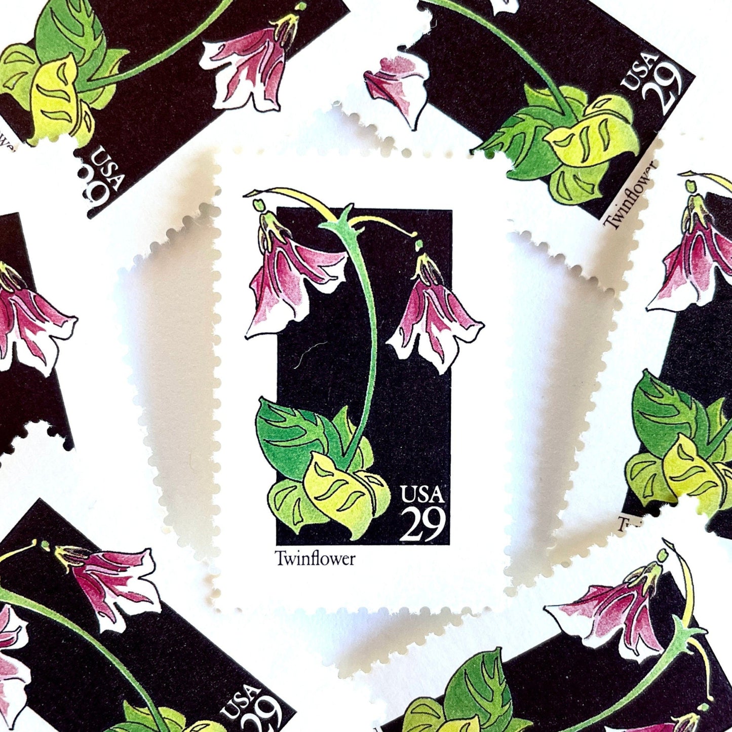 Image of 1992 American Wildflower Series “Twinflower” vintage USPS mail stamps. Scott #2665. Stamp Themes: Plants, Flowers, Wildflowers, Flora. Pink, White, Green, Multicolored gummed postage stamp. Perfect postage stamp to use for save the date announcements, wedding invitation postage, bridal shower invitations, birth announcements, valentine’s day, thank you cards, and snail mail.