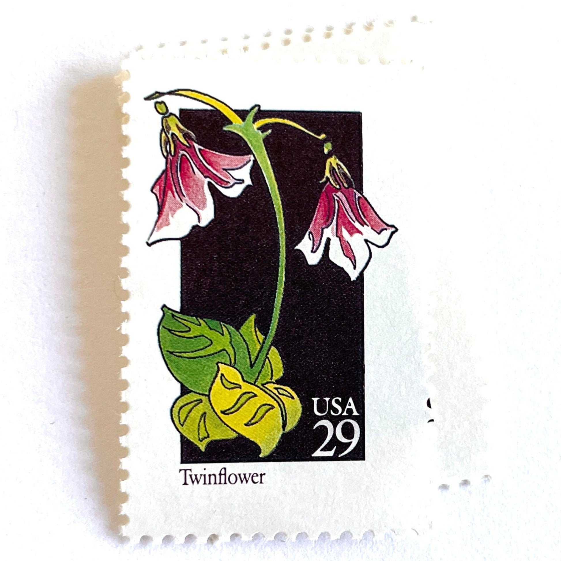 Image of 1992 American Wildflower Series “Twinflower” vintage USPS mail stamps. Scott #2665. Stamp Themes: Plants, Flowers, Wildflowers, Flora. Pink, White, Green, Multicolored gummed postage stamp. Perfect postage stamp to use for save the date announcements, wedding invitation postage, bridal shower invitations, birth announcements, valentine’s day, thank you cards, and snail mail.