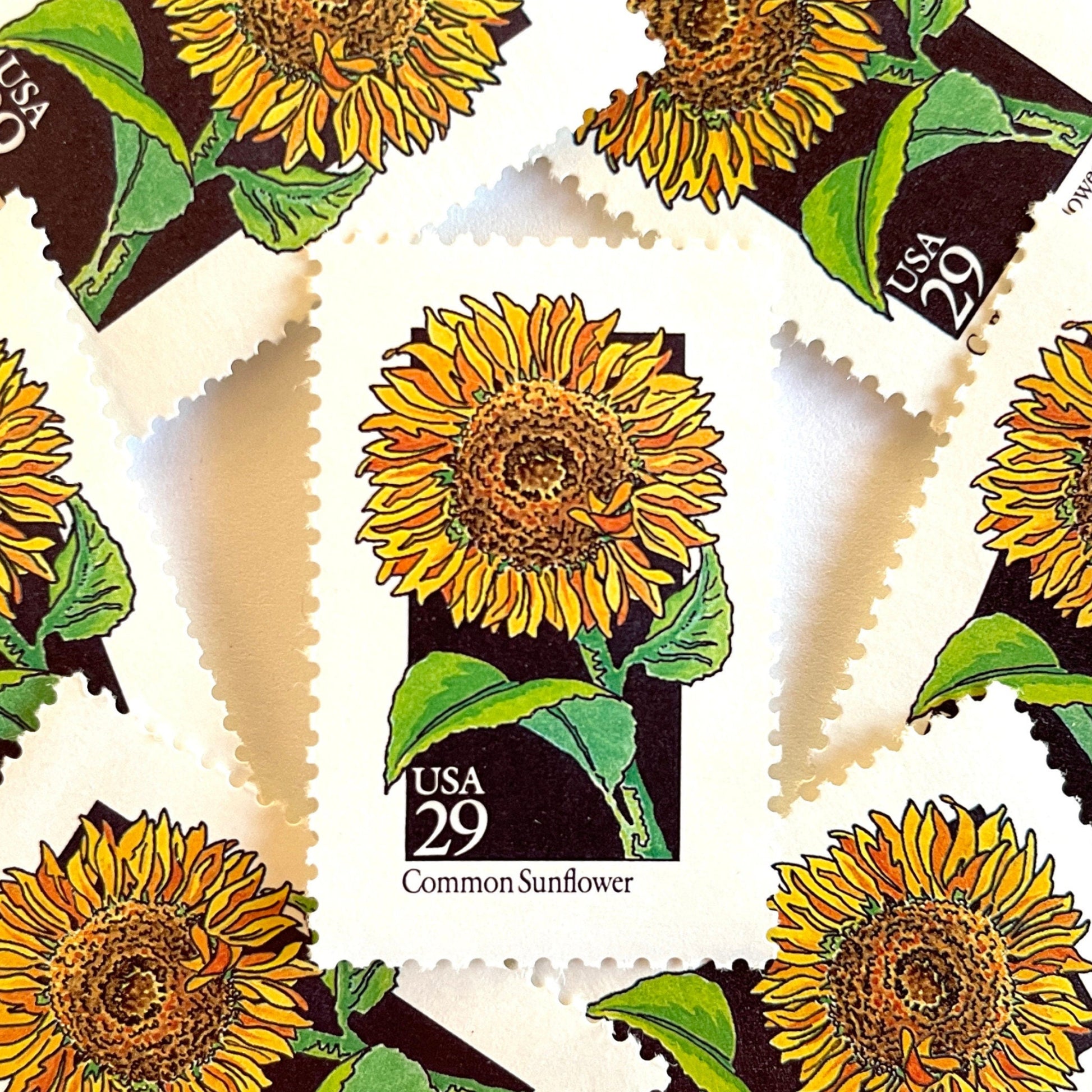 Image of 1992 American Wildflower Series “Common Sunflower” vintage USPS mail stamps. Scott #2666. Stamp Themes: Plants, Flowers, Wildflowers, Flora. Yellow, Orange, Green, Multicolored gummed postage stamp. Perfect postage stamp to use for save the date announcements, wedding invitation postage, bridal shower invitations, birth announcements, valentine’s day, thank you cards, and snail mail.