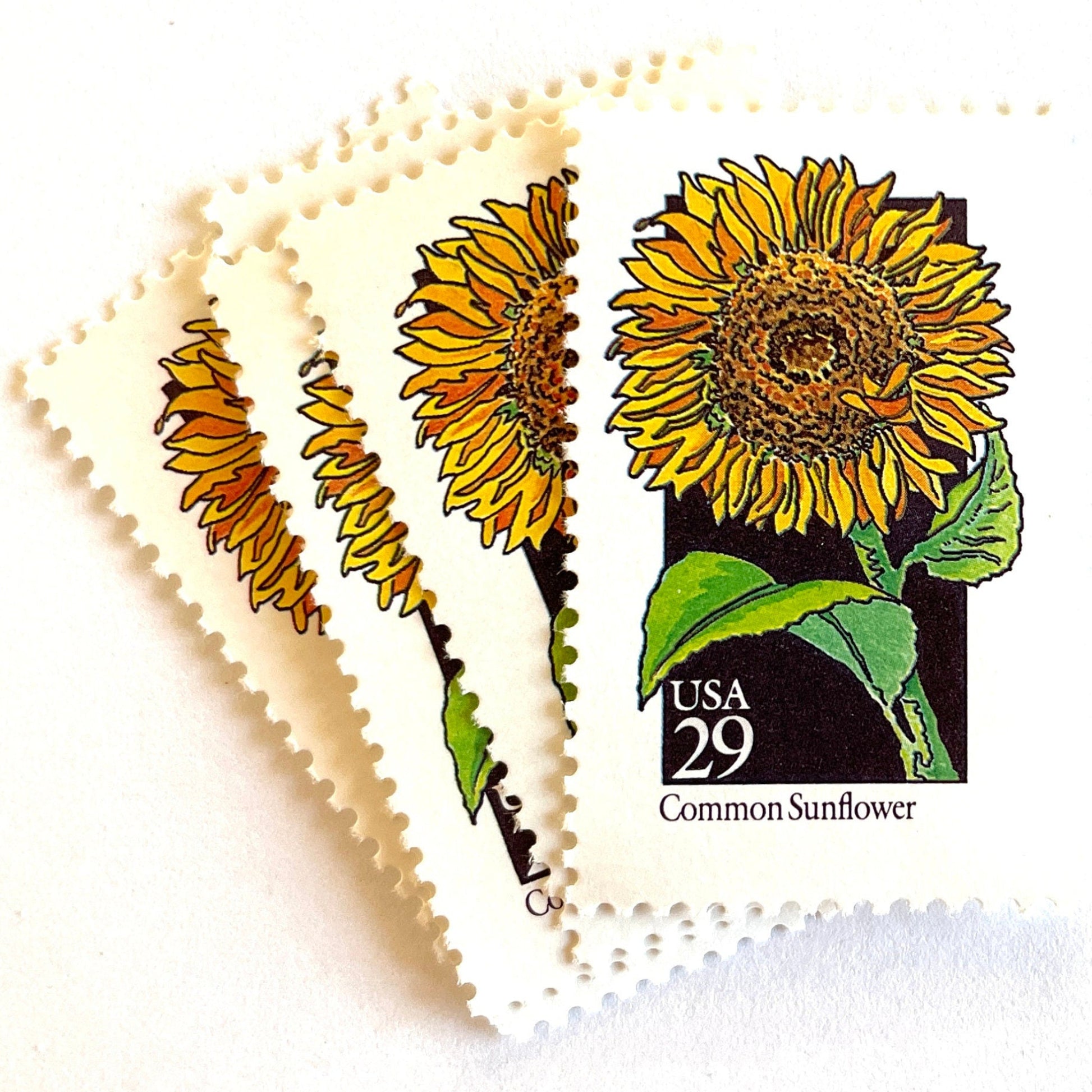 Image of 1992 American Wildflower Series “Common Sunflower” vintage USPS mail stamps. Scott #2666. Stamp Themes: Plants, Flowers, Wildflowers, Flora. Yellow, Orange, Green, Multicolored gummed postage stamp. Perfect postage stamp to use for save the date announcements, wedding invitation postage, bridal shower invitations, birth announcements, valentine’s day, thank you cards, and snail mail.
