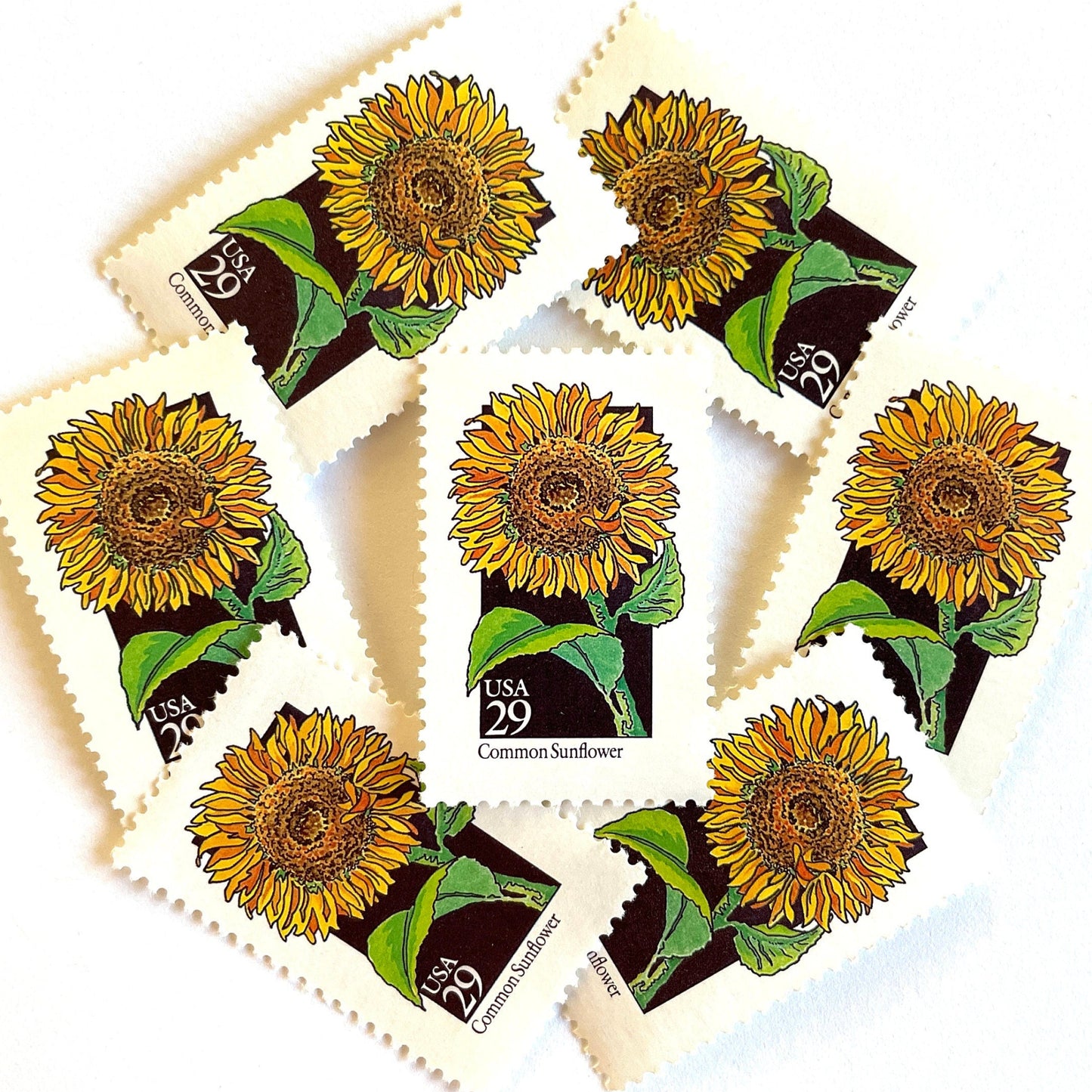 Image of 1992 American Wildflower Series “Common Sunflower” vintage USPS mail stamps. Scott #2666. Stamp Themes: Plants, Flowers, Wildflowers, Flora. Yellow, Orange, Green, Multicolored gummed postage stamp. Perfect postage stamp to use for save the date announcements, wedding invitation postage, bridal shower invitations, birth announcements, valentine’s day, thank you cards, and snail mail.