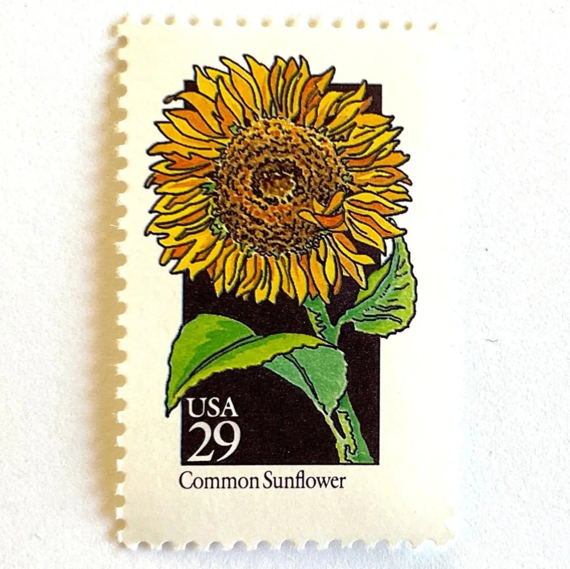 Image of 1992 American Wildflower Series “Common Sunflower” vintage USPS mail stamps. Scott #2666. Stamp Themes: Plants, Flowers, Wildflowers, Flora. Yellow, Orange, Green, Multicolored gummed postage stamp. Perfect postage stamp to use for save the date announcements, wedding invitation postage, bridal shower invitations, birth announcements, valentine’s day, thank you cards, and snail mail.