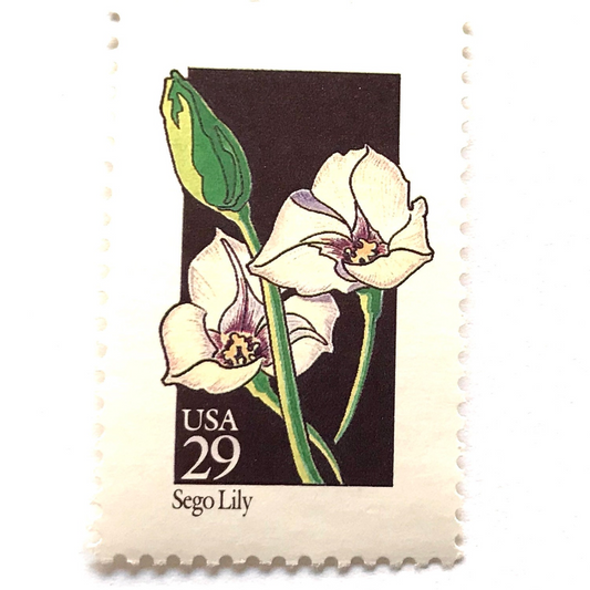 Image of 1992 Wildflowers Sego Lily 29 cent stamps. Scott #2667. Stamp themes: Plants, Flowers, Wildflowers, Flora, Botanical, Mormon Pioneers, Utah State Flower. Grand Tetons National Park, Prairie. Black and white postage stamp.