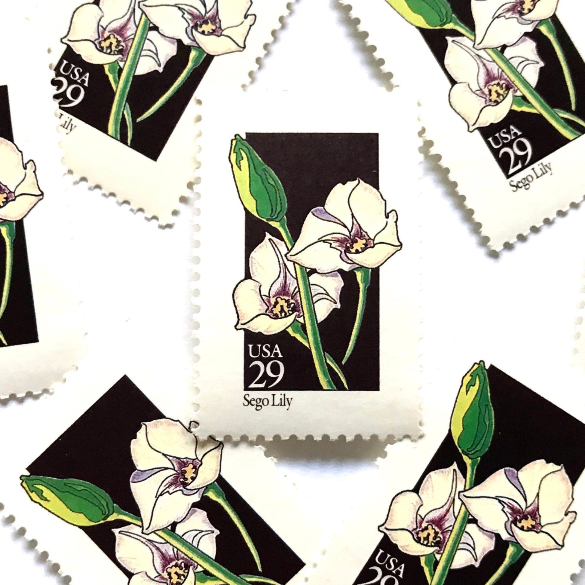Image of 1992 Wildflowers Sego Lily 29 cent stamps. Scott #2667. Stamp themes: Plants, Flowers, Wildflowers, Flora, Botanical, Mormon Pioneers, Utah State Flower. Grand Tetons National Park, Prairie. Black and white postage stamp.