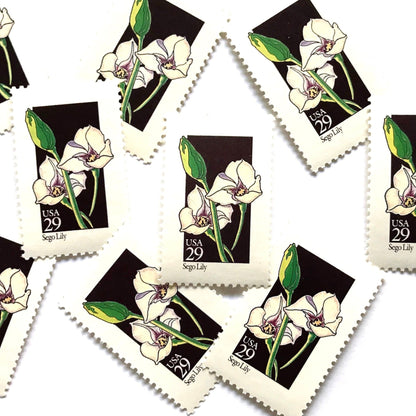 Image of 1992 Wildflowers Sego Lily 29 cent stamps. Scott #2667. Stamp themes: Plants, Flowers, Wildflowers, Flora, Botanical, Mormon Pioneers, Utah State Flower. Grand Tetons National Park, Prairie. Black and white postage stamp.