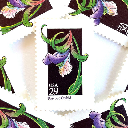 Image of 1992 American Wildflower Series “Rosebud Orchid” vintage USPS mail stamps. Scott #2670. Stamp Themes: Plants, Flowers, Wildflowers, Flora. Purple, Green, Black, Multicolored gummed postage stamp. Perfect postage stamp to use for save the date announcements, wedding invitation postage, bridal shower invitations, birth announcements, valentine’s day, thank you cards, and snail mail.