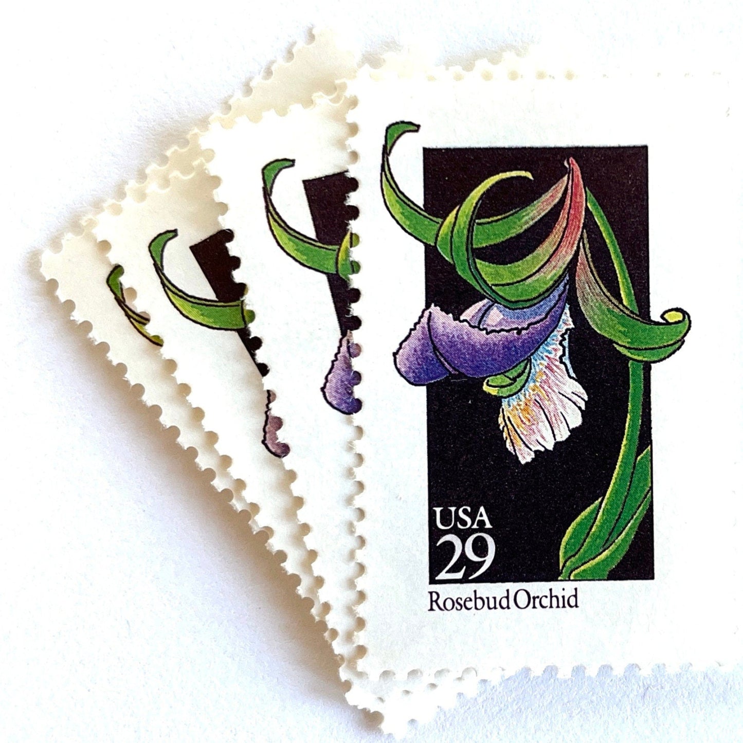 Image of 1992 American Wildflower Series “Rosebud Orchid” vintage USPS mail stamps. Scott #2670. Stamp Themes: Plants, Flowers, Wildflowers, Flora. Purple, Green, Black, Multicolored gummed postage stamp. Perfect postage stamp to use for save the date announcements, wedding invitation postage, bridal shower invitations, birth announcements, valentine’s day, thank you cards, and snail mail.
