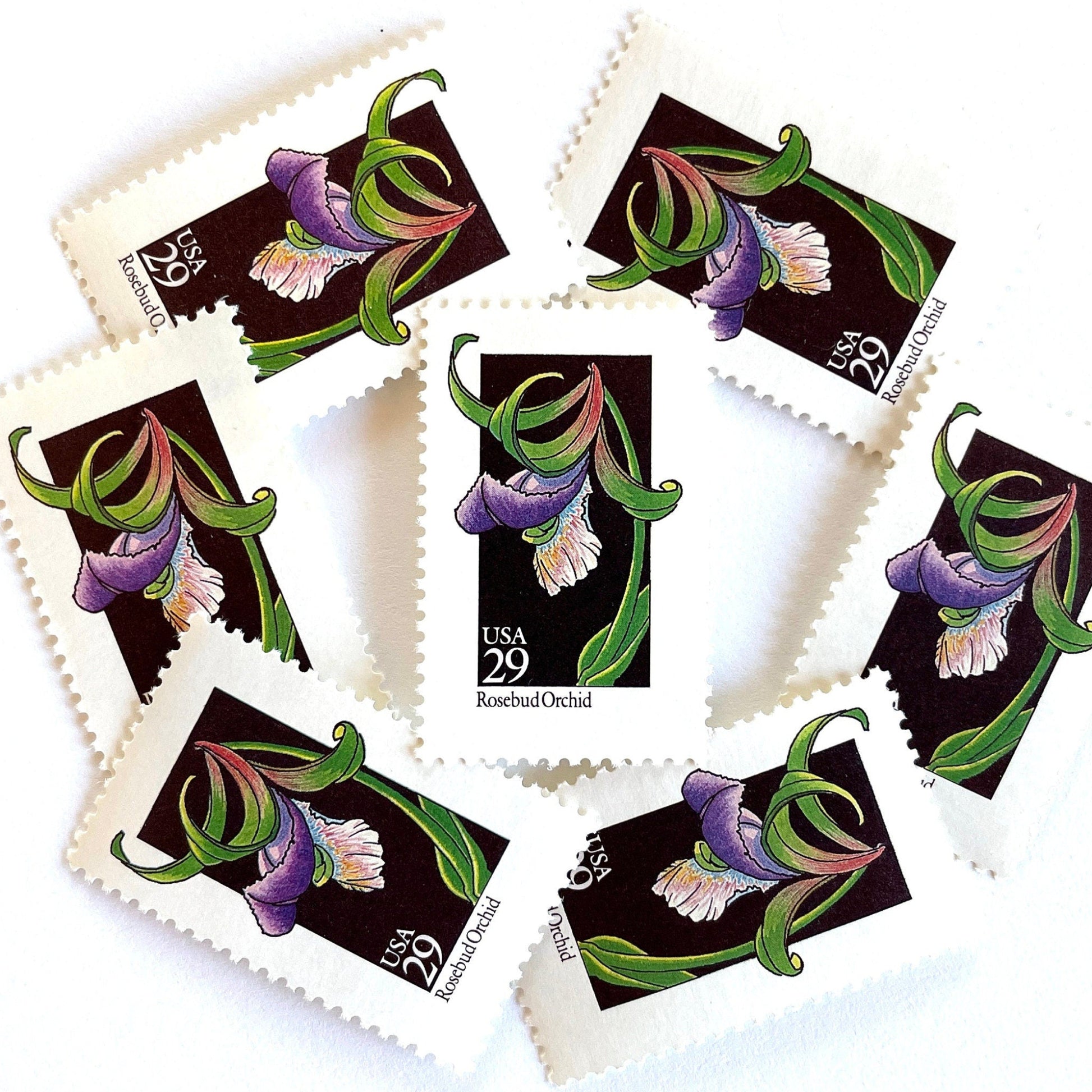 Image of 1992 American Wildflower Series “Rosebud Orchid” vintage USPS mail stamps. Scott #2670. Stamp Themes: Plants, Flowers, Wildflowers, Flora. Purple, Green, Black, Multicolored gummed postage stamp. Perfect postage stamp to use for save the date announcements, wedding invitation postage, bridal shower invitations, birth announcements, valentine’s day, thank you cards, and snail mail.