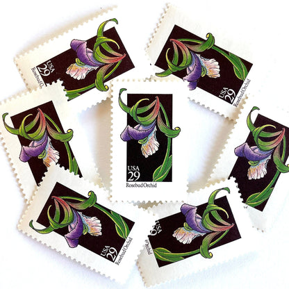 Image of 1992 American Wildflower Series “Rosebud Orchid” vintage USPS mail stamps. Scott #2670. Stamp Themes: Plants, Flowers, Wildflowers, Flora. Purple, Green, Black, Multicolored gummed postage stamp. Perfect postage stamp to use for save the date announcements, wedding invitation postage, bridal shower invitations, birth announcements, valentine’s day, thank you cards, and snail mail.