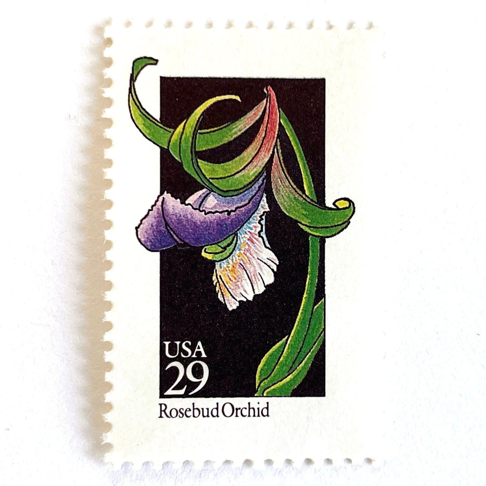 Image of 1992 American Wildflower Series “Rosebud Orchid” vintage USPS mail stamps. Scott #2670. Stamp Themes: Plants, Flowers, Wildflowers, Flora. Purple, Green, Black, Multicolored gummed postage stamp. Perfect postage stamp to use for save the date announcements, wedding invitation postage, bridal shower invitations, birth announcements, valentine’s day, thank you cards, and snail mail.