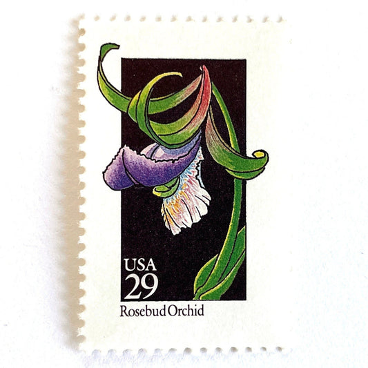 Image of 1992 American Wildflower Series “Rosebud Orchid” vintage USPS mail stamps. Scott #2670. Stamp Themes: Plants, Flowers, Wildflowers, Flora. Purple, Green, Black, Multicolored gummed postage stamp. Perfect postage stamp to use for save the date announcements, wedding invitation postage, bridal shower invitations, birth announcements, valentine’s day, thank you cards, and snail mail.