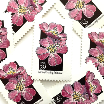 Image of 1992 American Wildflower Series “Showy Evening Primrose” vintage USPS mail stamps. Scott #2671. Stamp Themes: Plants, Flowers, Wildflowers, Flora. Pink, Yellow, Black, Multicolored gummed postage stamp. Perfect postage stamp to use for save the date announcements, wedding invitation postage, bridal shower invitations, birth announcements, valentine’s day, thank you cards, and snail mail.