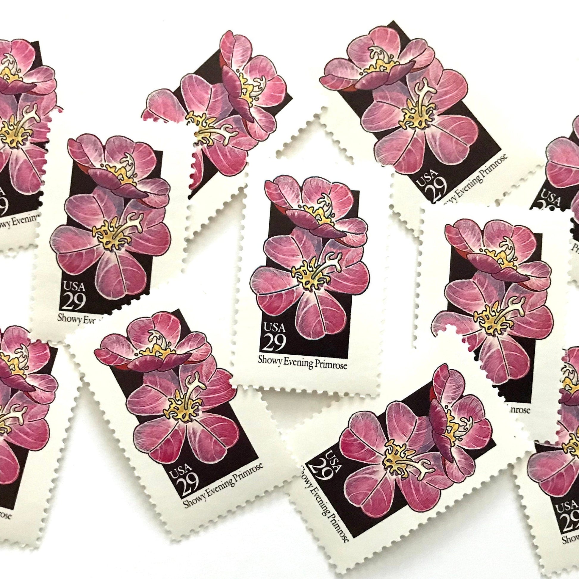 Image of 1992 American Wildflower Series “Showy Evening Primrose” vintage USPS mail stamps. Scott #2671. Stamp Themes: Plants, Flowers, Wildflowers, Flora. Pink, Yellow, Black, Multicolored gummed postage stamp. Perfect postage stamp to use for save the date announcements, wedding invitation postage, bridal shower invitations, birth announcements, valentine’s day, thank you cards, and snail mail.