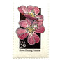 Image of 1992 American Wildflower Series “Showy Evening Primrose” vintage USPS mail stamps. Scott #2671. Stamp Themes: Plants, Flowers, Wildflowers, Flora. Pink, Yellow, Black, Multicolored gummed postage stamp. Perfect postage stamp to use for save the date announcements, wedding invitation postage, bridal shower invitations, birth announcements, valentine’s day, thank you cards, and snail mail.