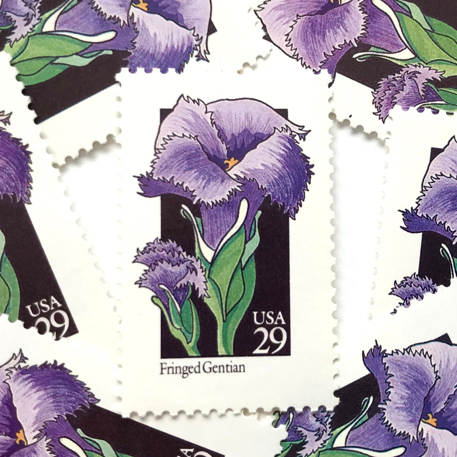 Image of 1992 American Wildflower Series “Fringed Gentian” vintage USPS mail stamps. Scott #2672. Stamp Themes: Plants, Flowers, Wildflowers, Flora. Purple, Green, Black, Multicolored gummed postage stamp. Perfect postage stamp to use for save the date announcements, wedding invitation postage, bridal shower invitations, birth announcements, valentine’s day, thank you cards, and snail mail.