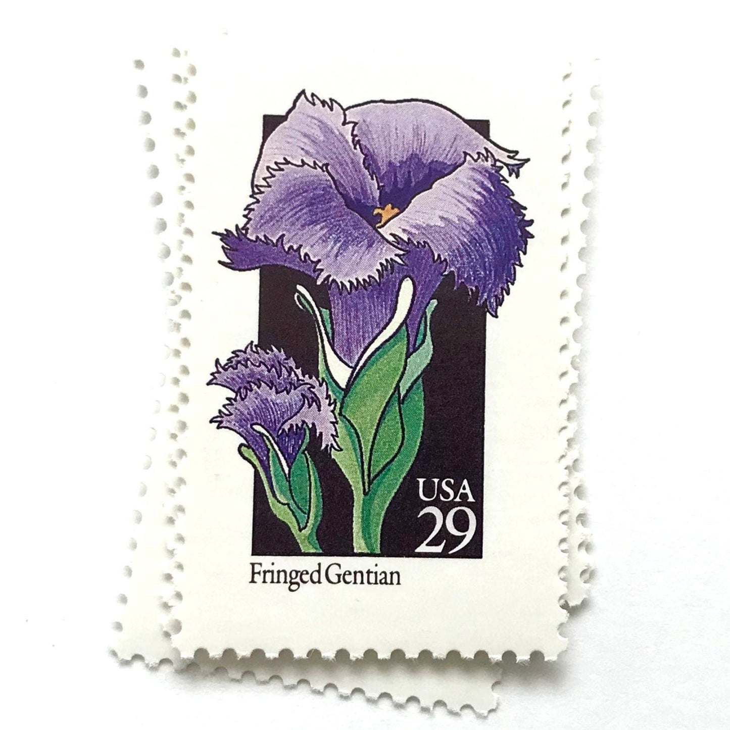 Image of 1992 American Wildflower Series “Fringed Gentian” vintage USPS mail stamps. Scott #2672. Stamp Themes: Plants, Flowers, Wildflowers, Flora. Purple, Green, Black, Multicolored gummed postage stamp. Perfect postage stamp to use for save the date announcements, wedding invitation postage, bridal shower invitations, birth announcements, valentine’s day, thank you cards, and snail mail.
