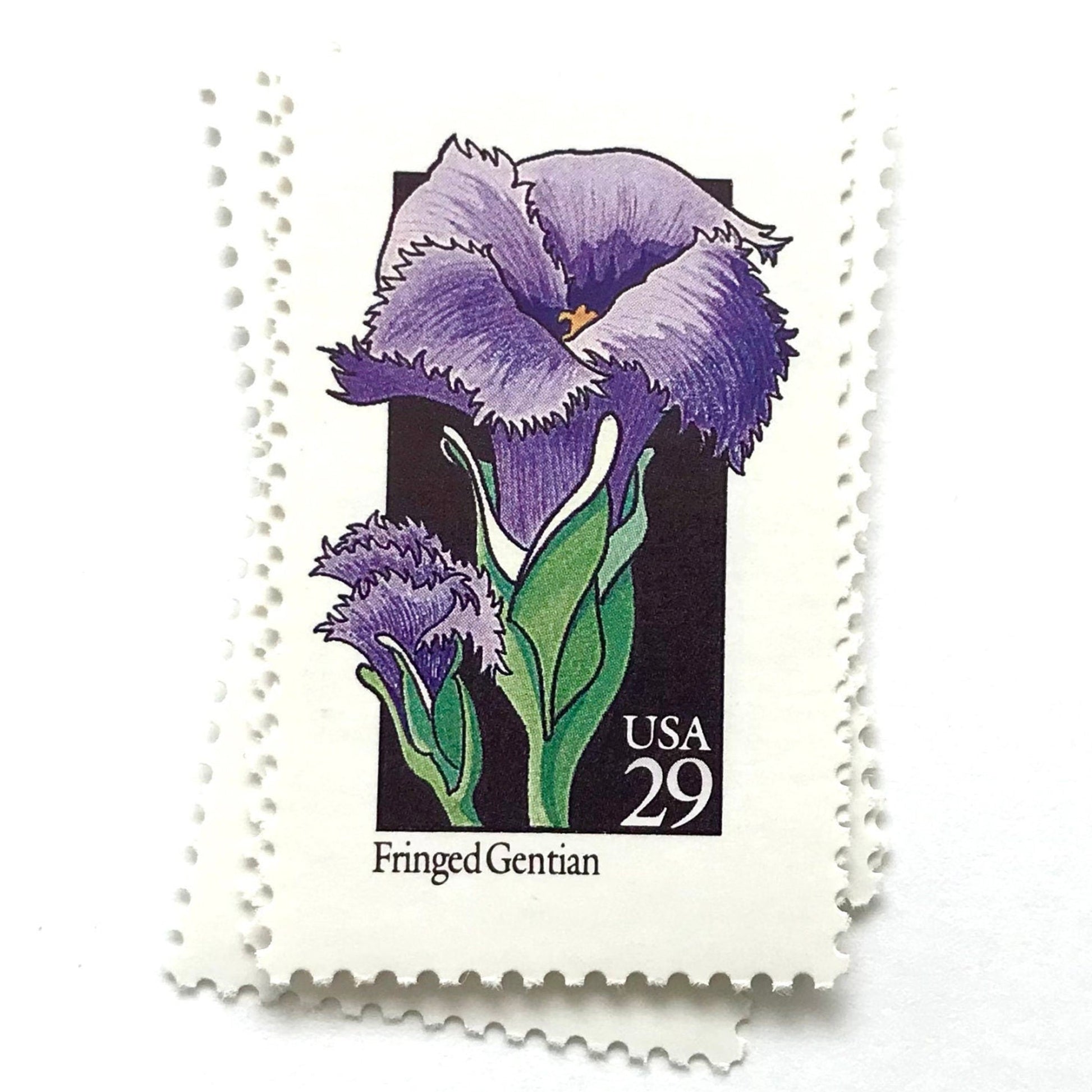 Image of 1992 American Wildflower Series “Fringed Gentian” vintage USPS mail stamps. Scott #2672. Stamp Themes: Plants, Flowers, Wildflowers, Flora. Purple, Green, Black, Multicolored gummed postage stamp. Perfect postage stamp to use for save the date announcements, wedding invitation postage, bridal shower invitations, birth announcements, valentine’s day, thank you cards, and snail mail.
